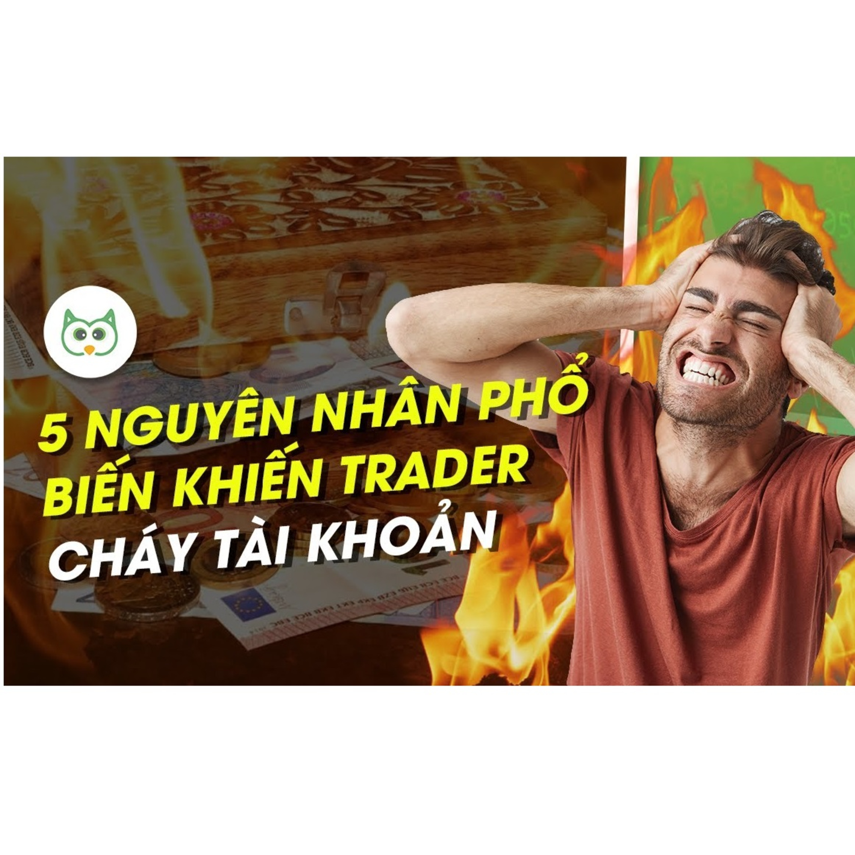 Cú Thông Thái