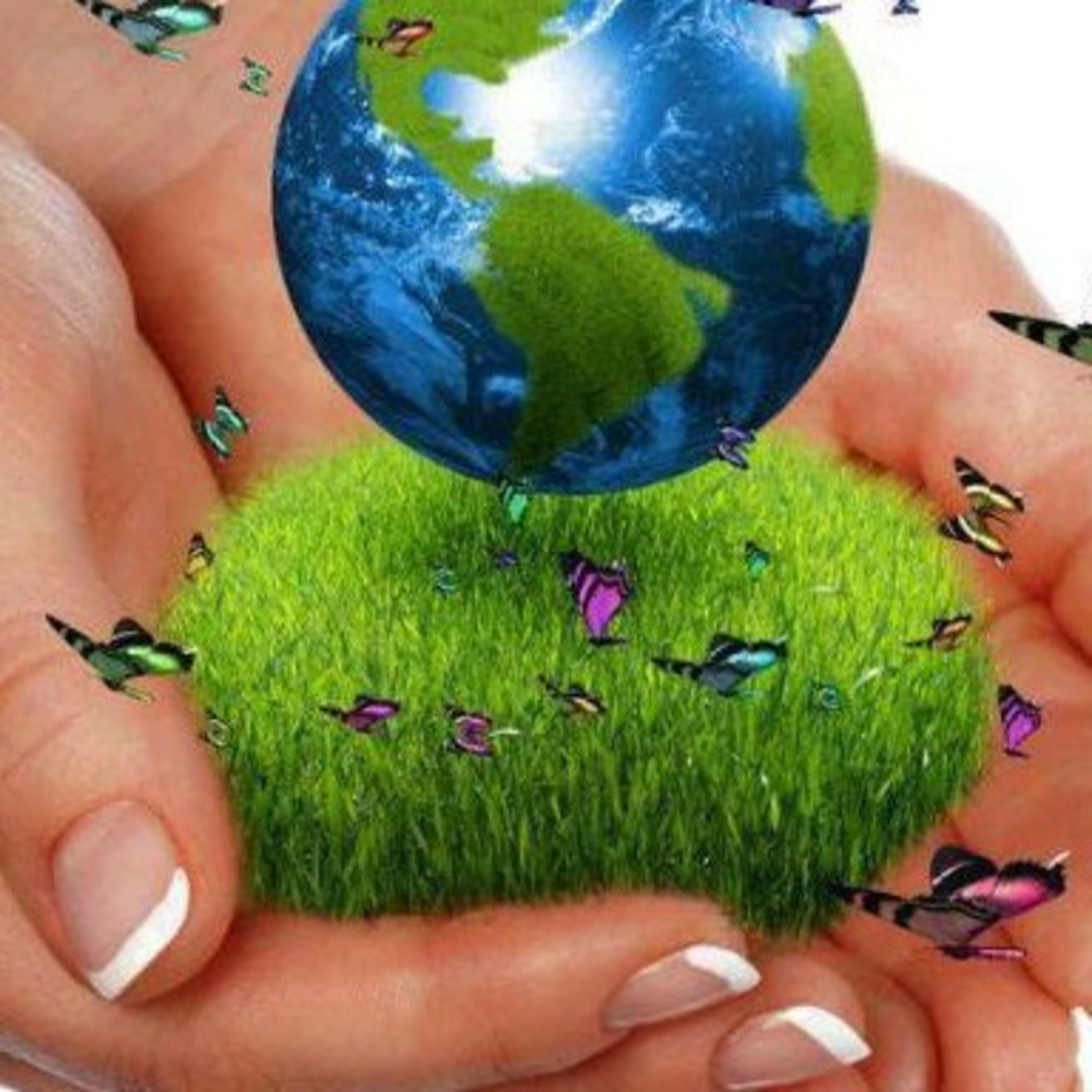 Cuestión De Actitud