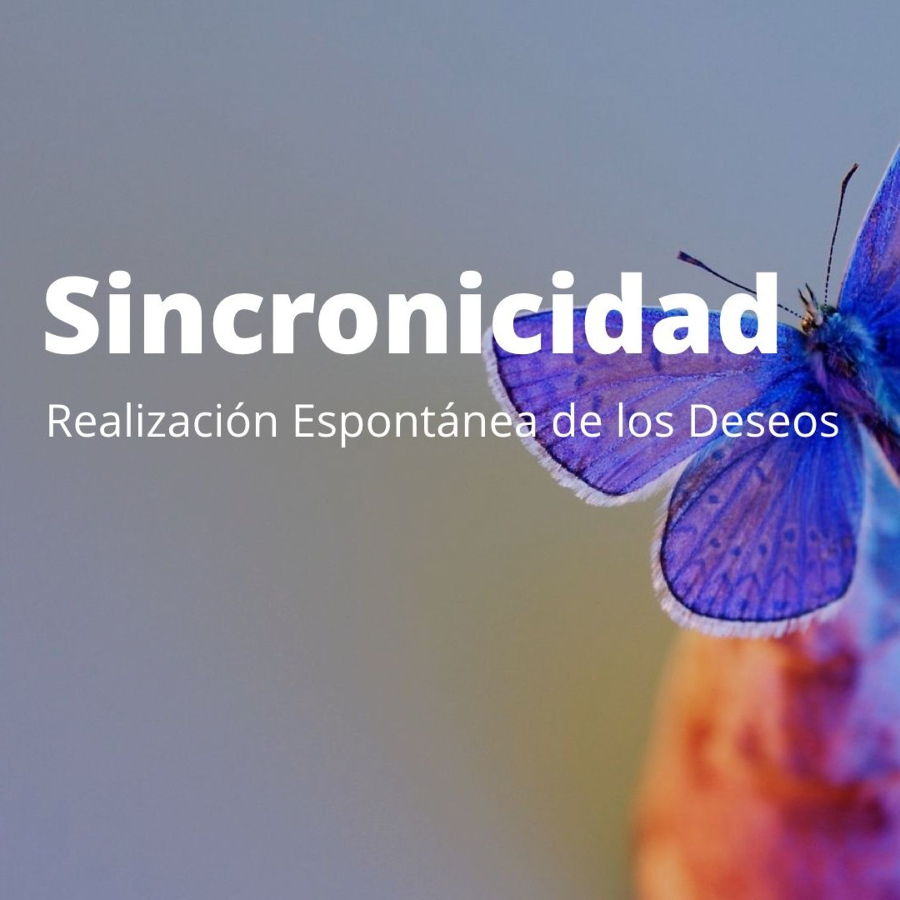 Cuestión De Actitud