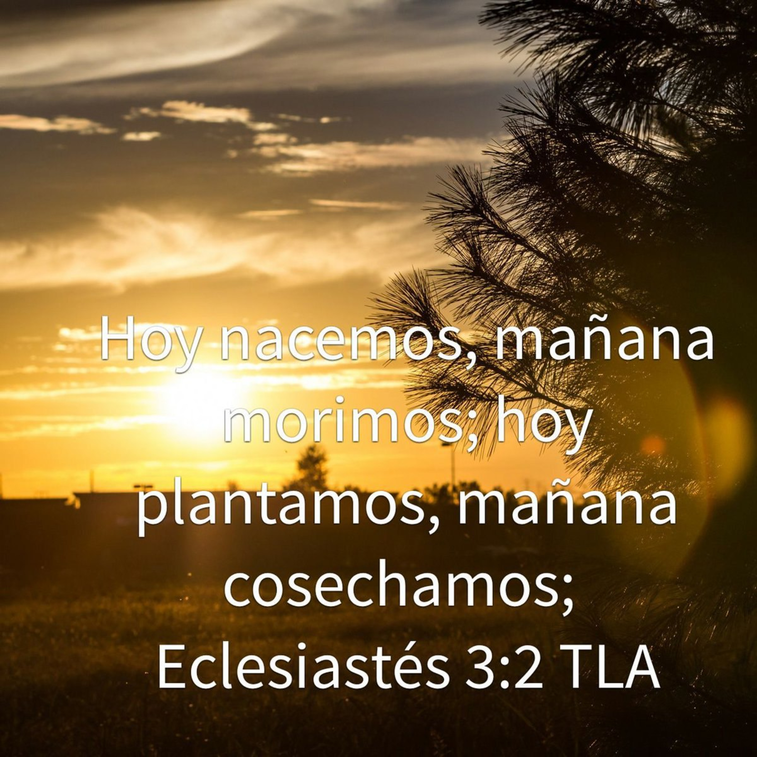 Podcast Espiritual - CANAL