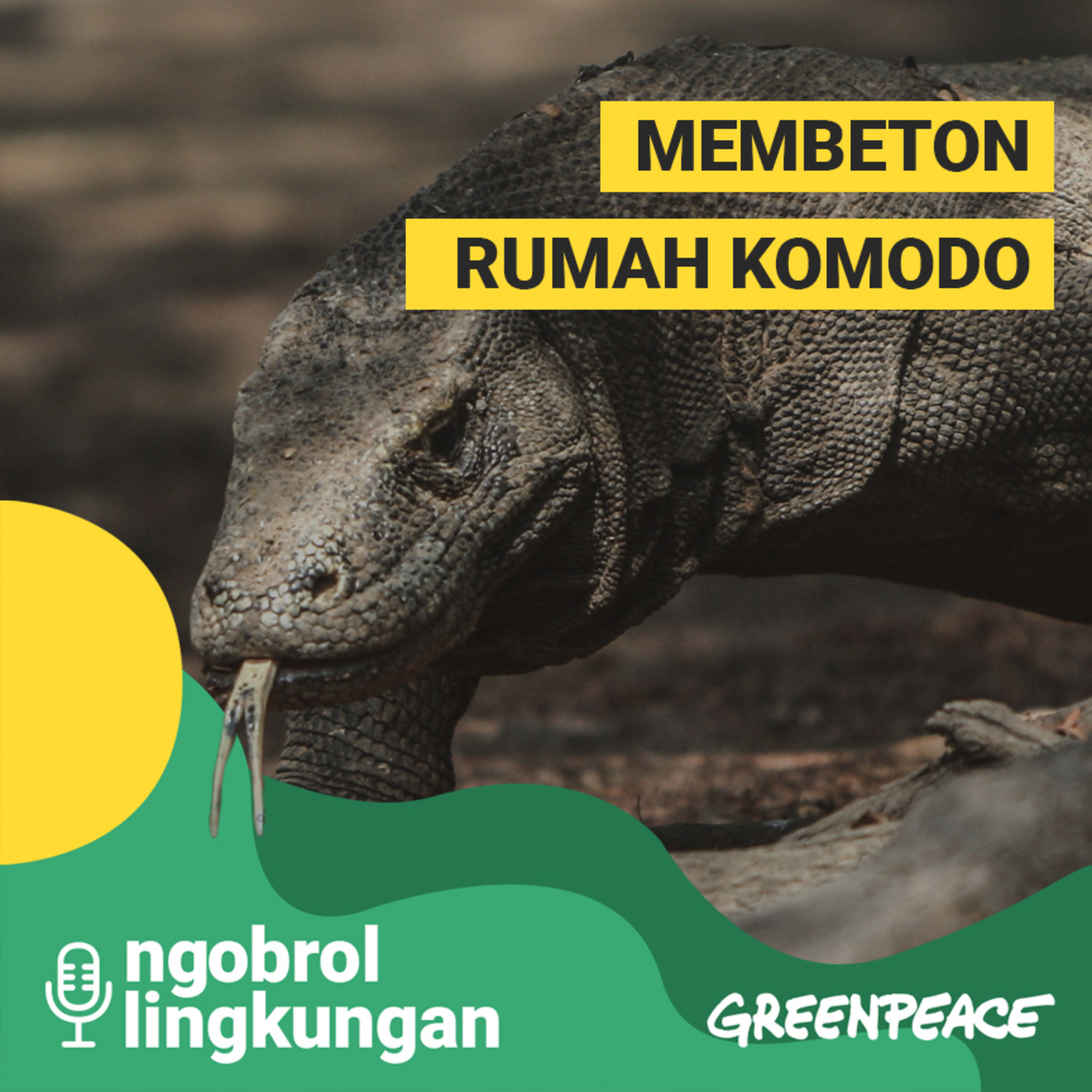 #NgobrolLingkungan