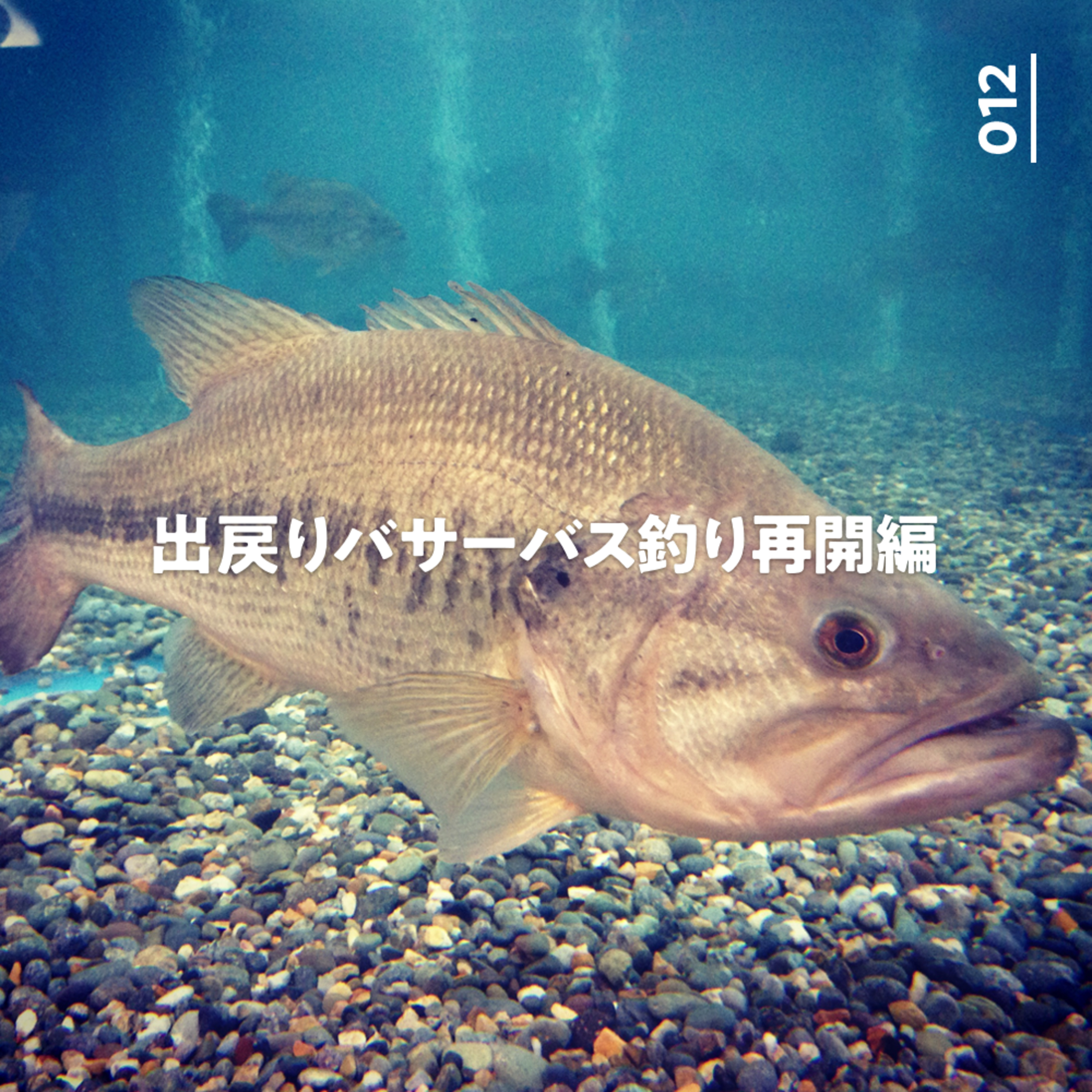 012 出戻りバサーバス釣り再開編!戻ってきたら変わってた事とか