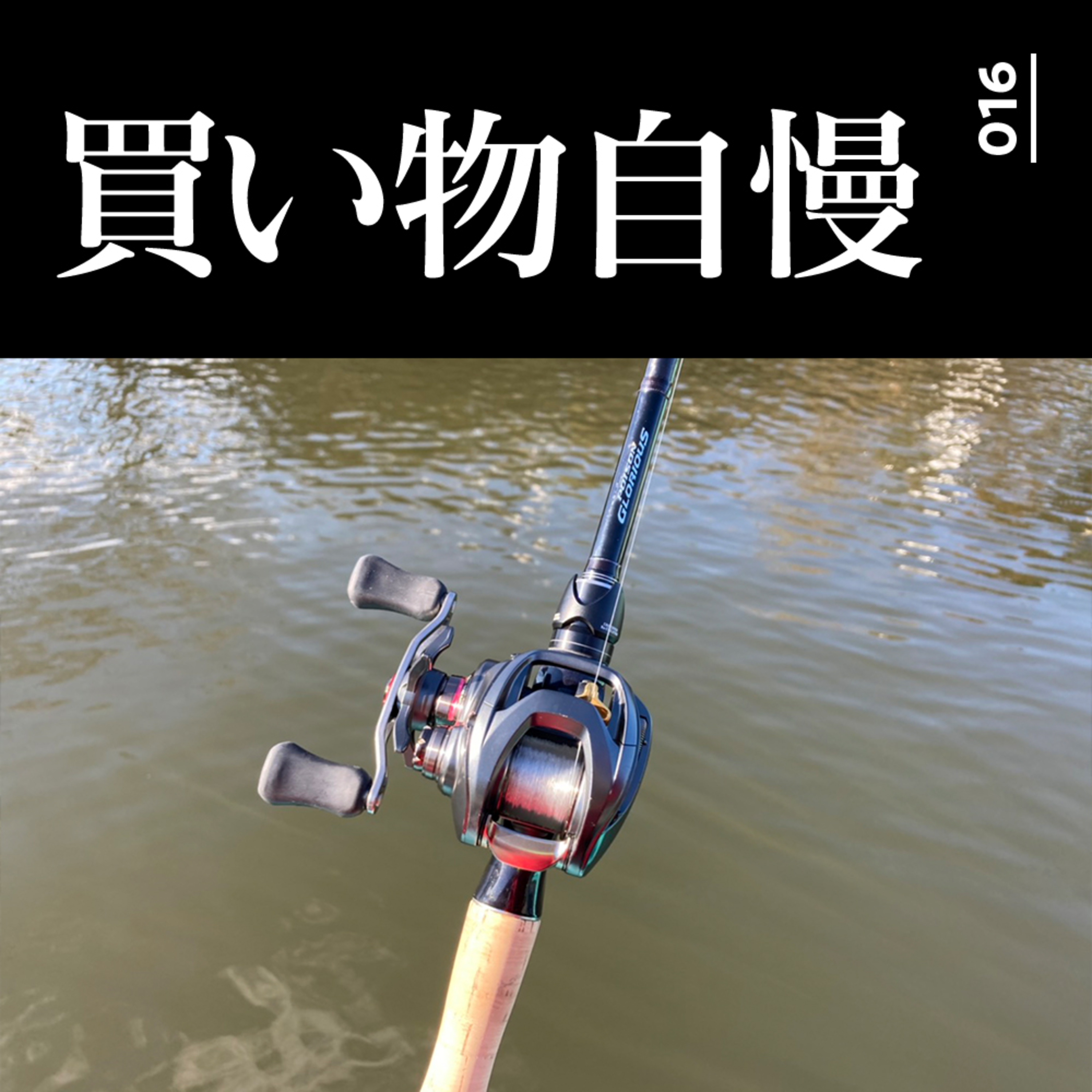 016 たかはしの買い物自慢とサンタさんにお願いしたいプレゼントについて