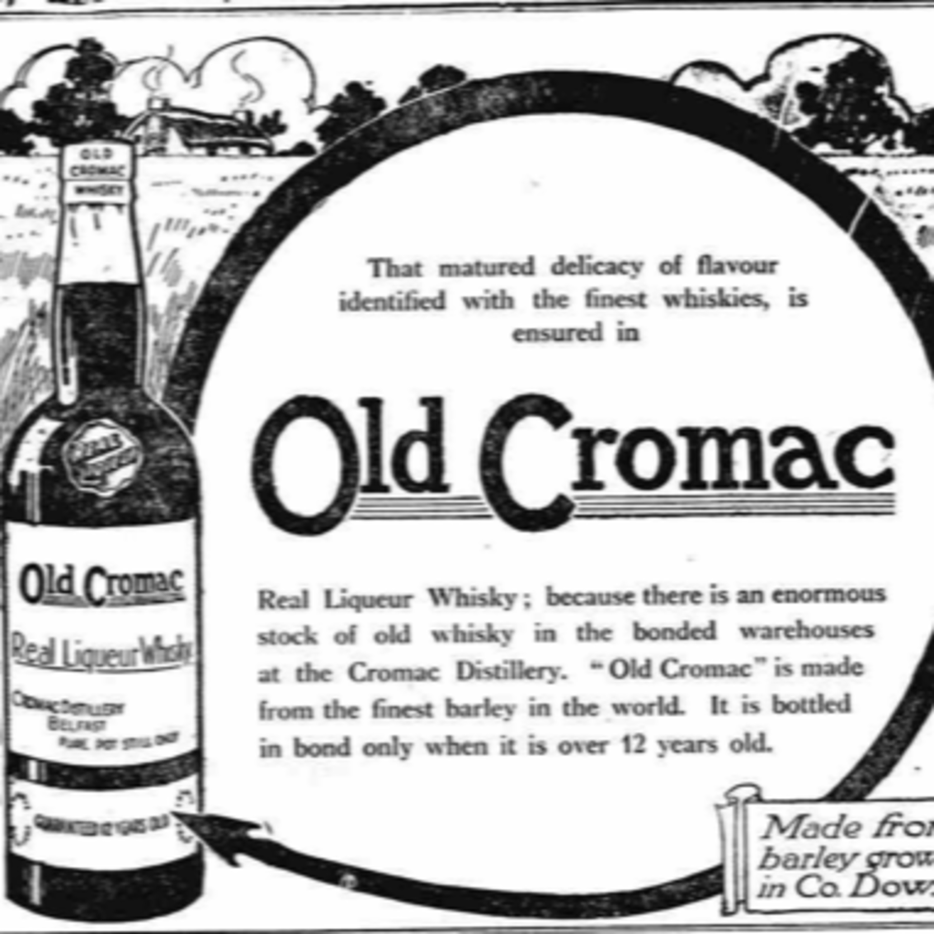 Irish Whiskey Review - The Definitive Guide to all things Whisky, Scotch, Bourbon NOT just Irish!