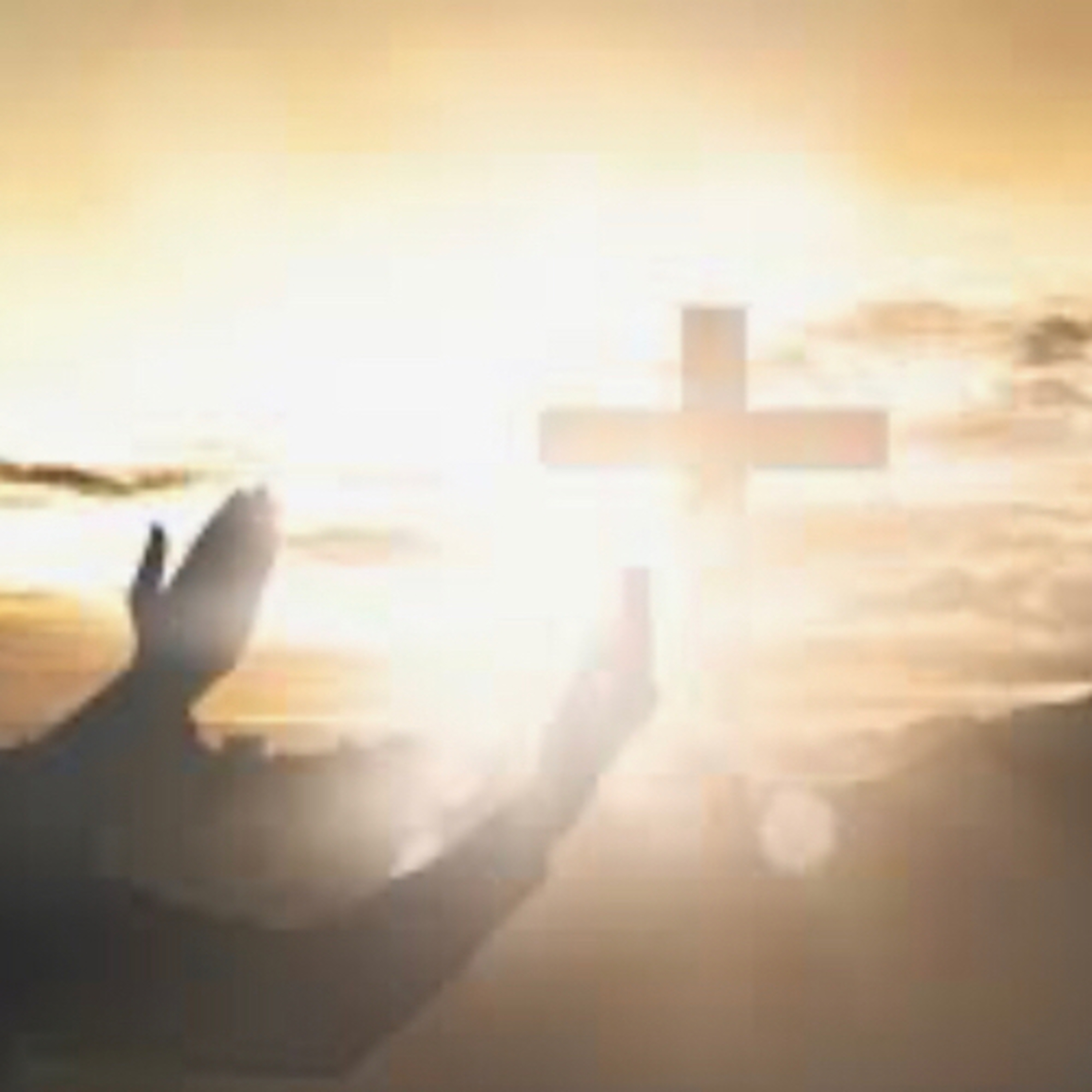 Palavra de Deus