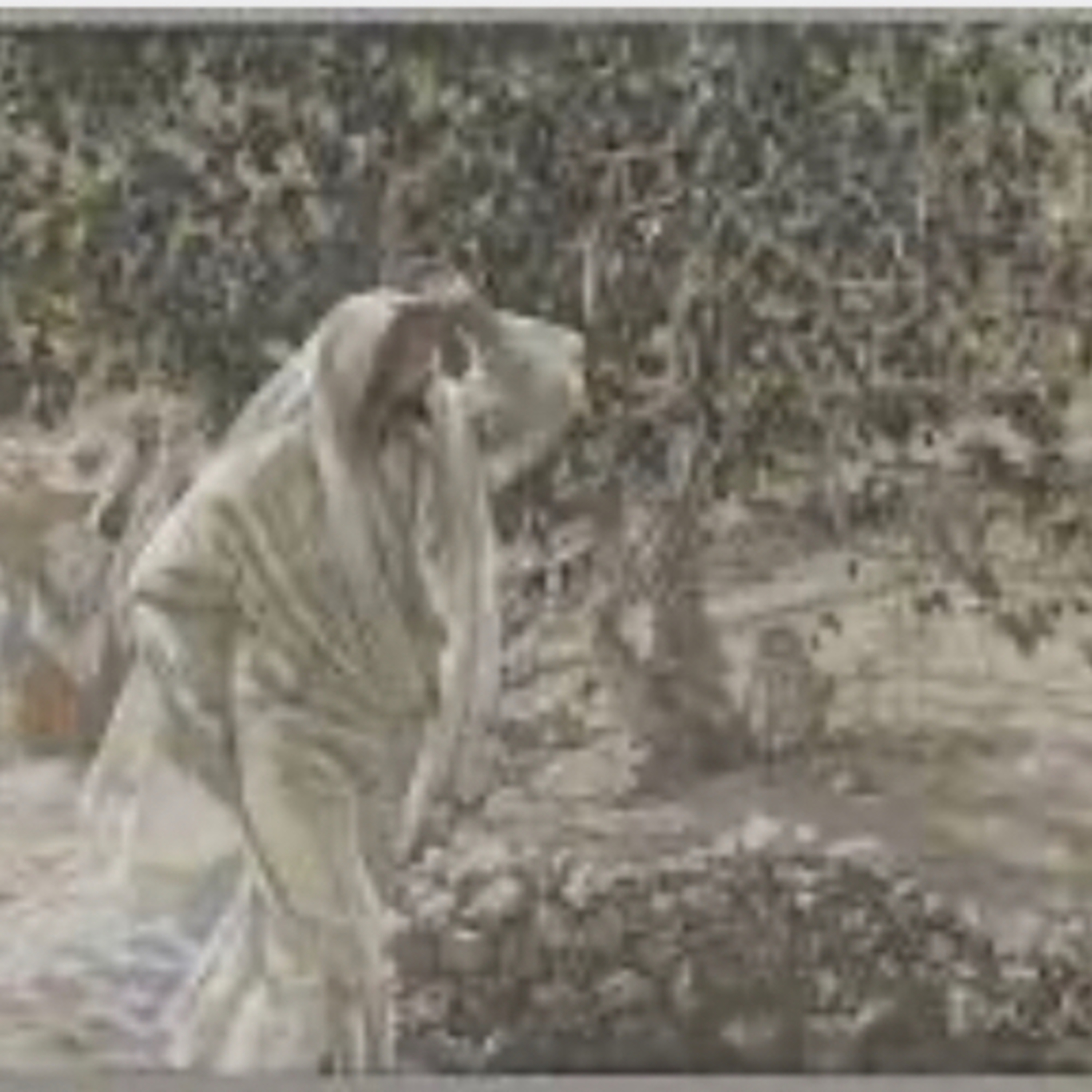 Palavra de Deus