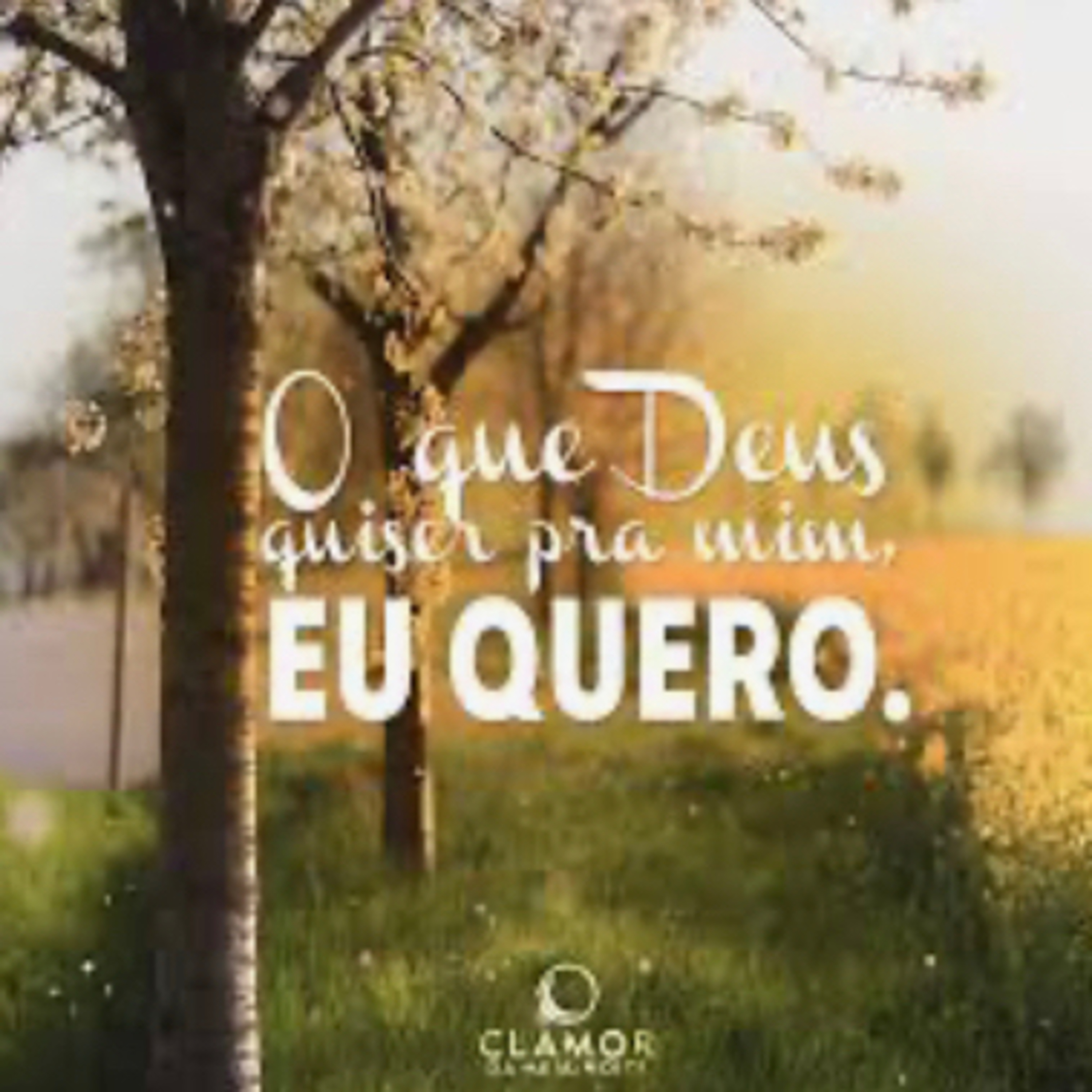 Palavra de Deus