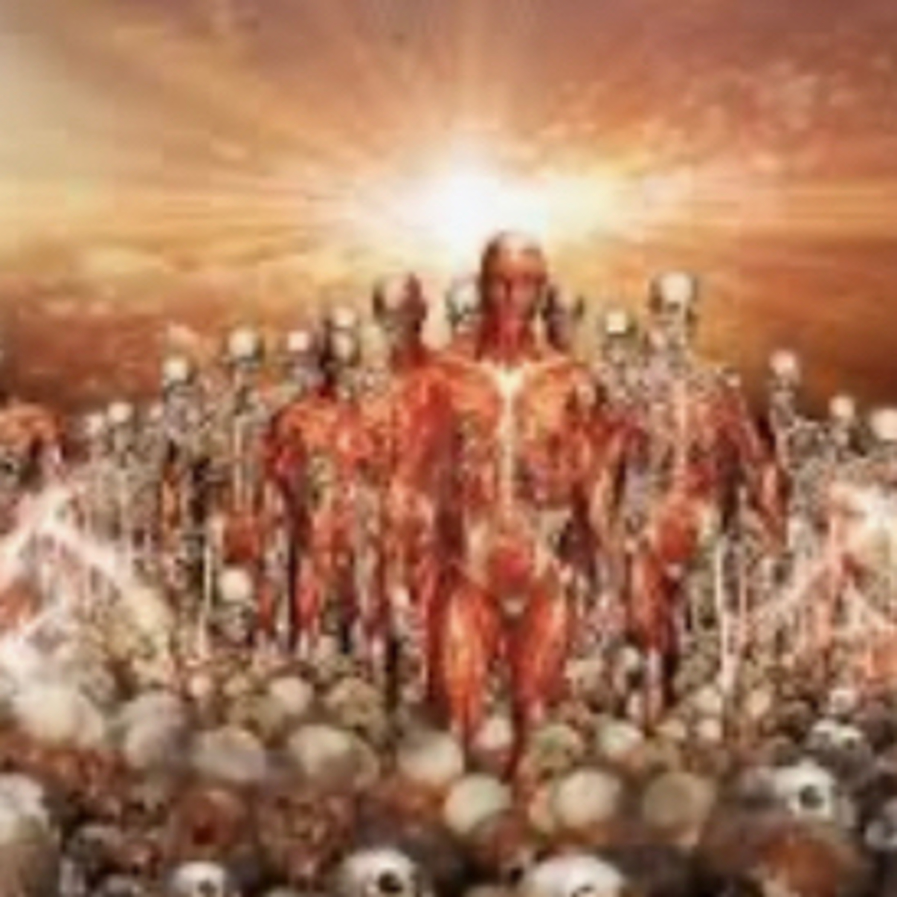 Palavra de Deus