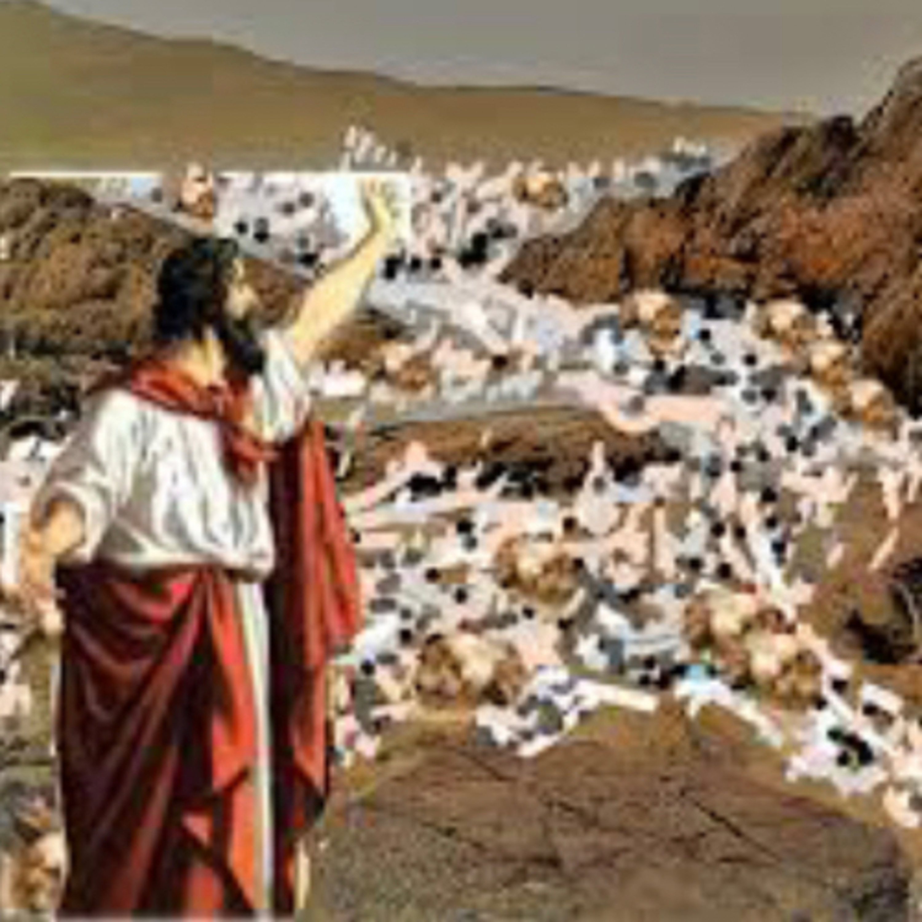 Palavra de Deus