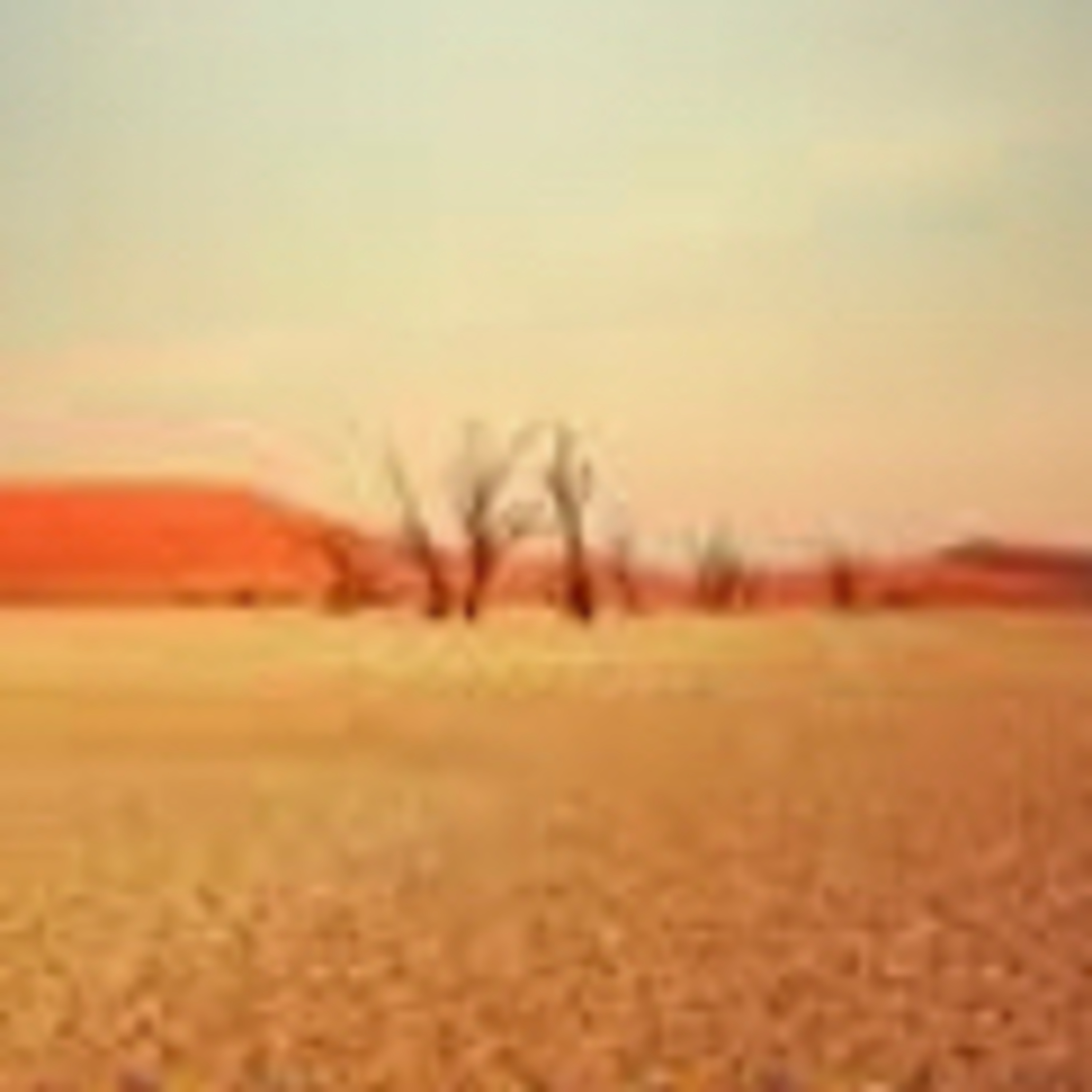 Fim do DESERTO  episode artwork