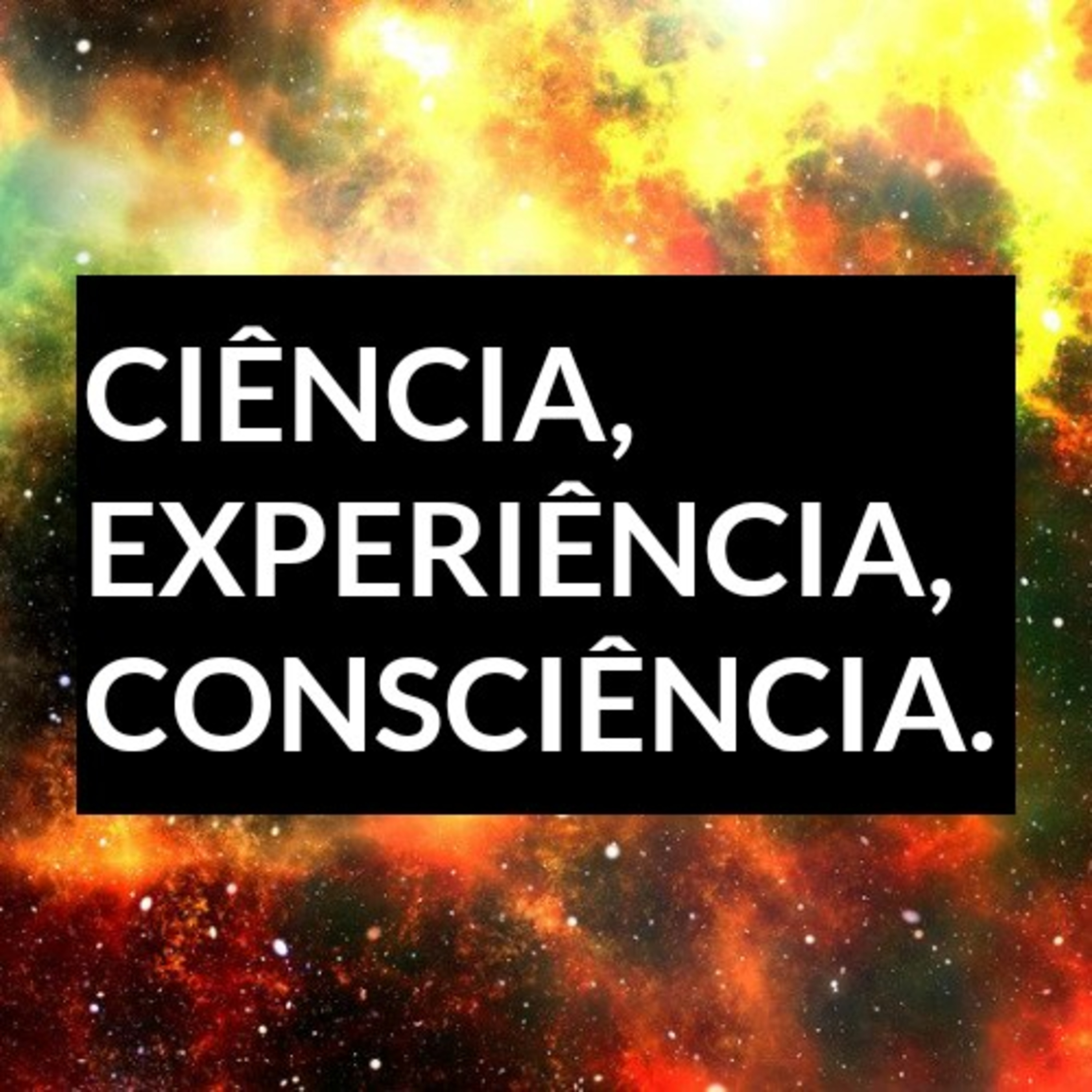 ciência, experiência, consciência