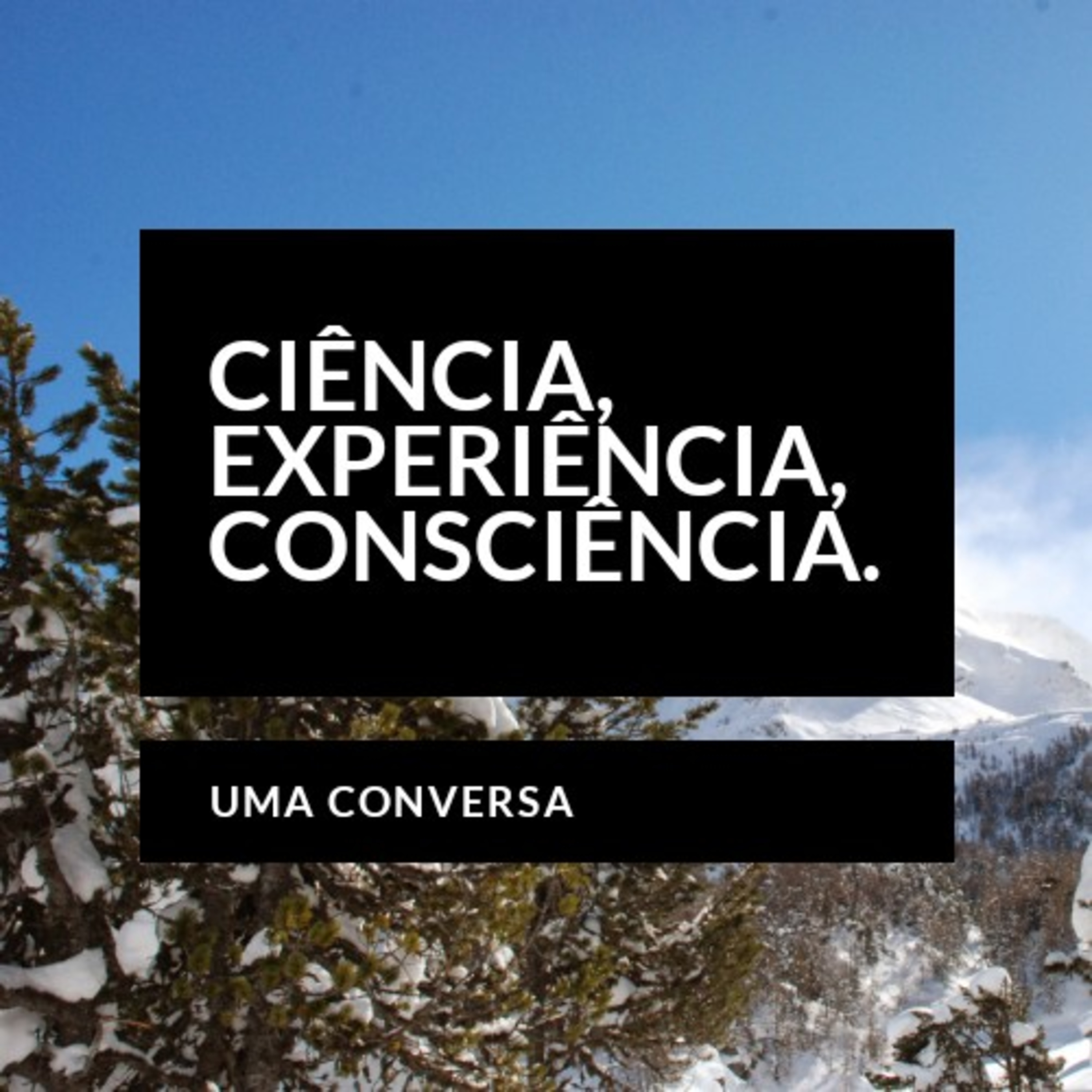 ciência, experiência, consciência