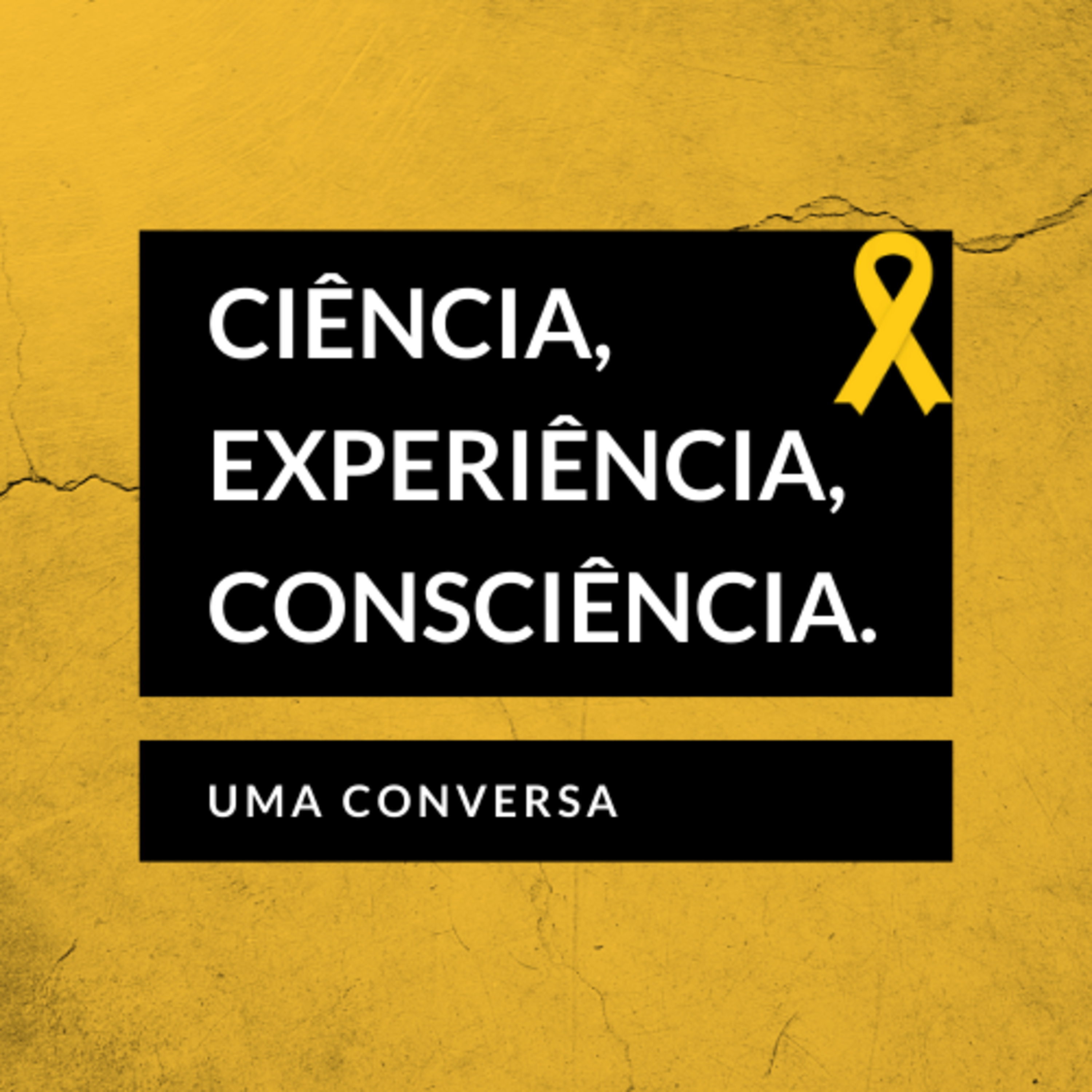 ciência, experiência, consciência