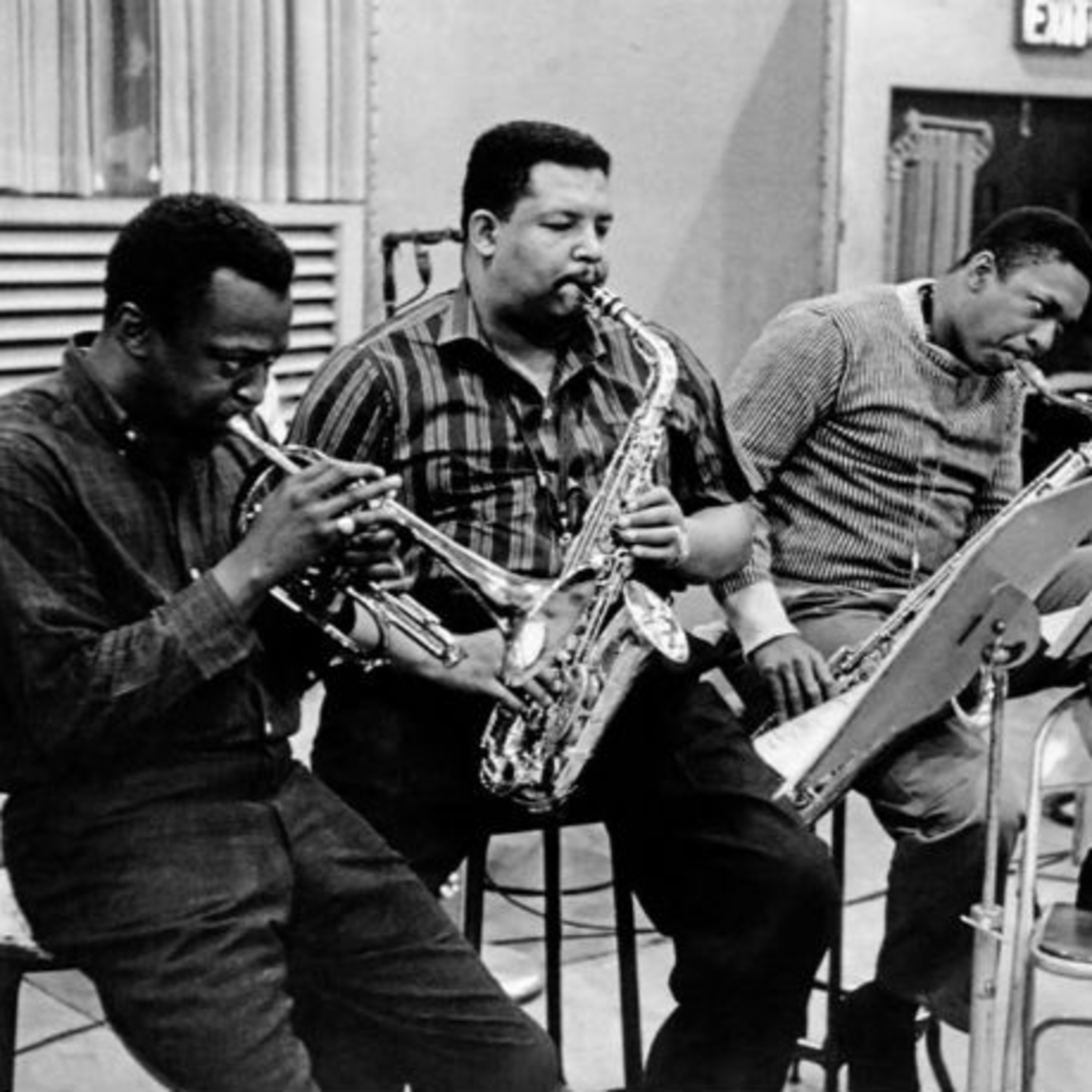Abutres não ouvem jazz