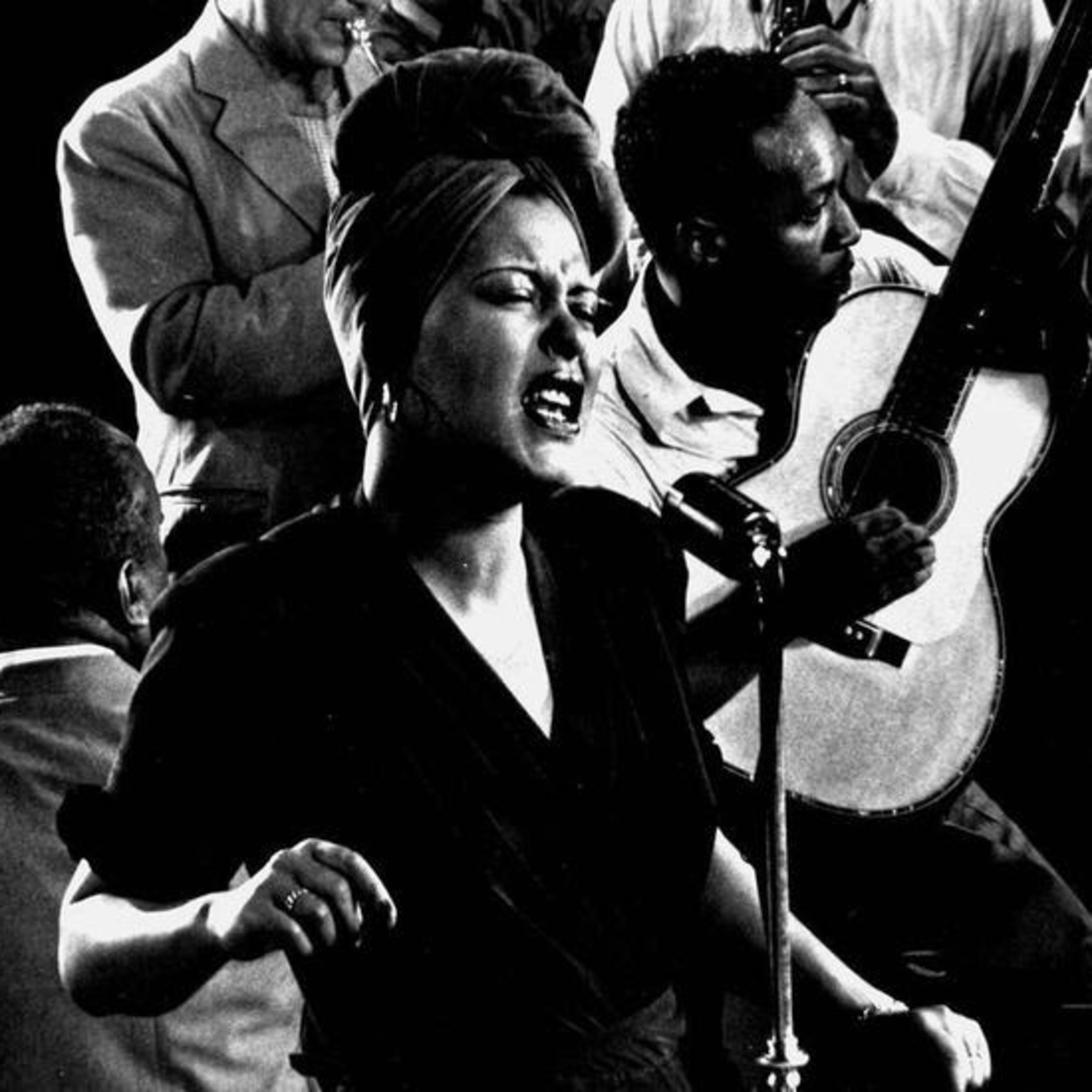 Abutres não ouvem jazz