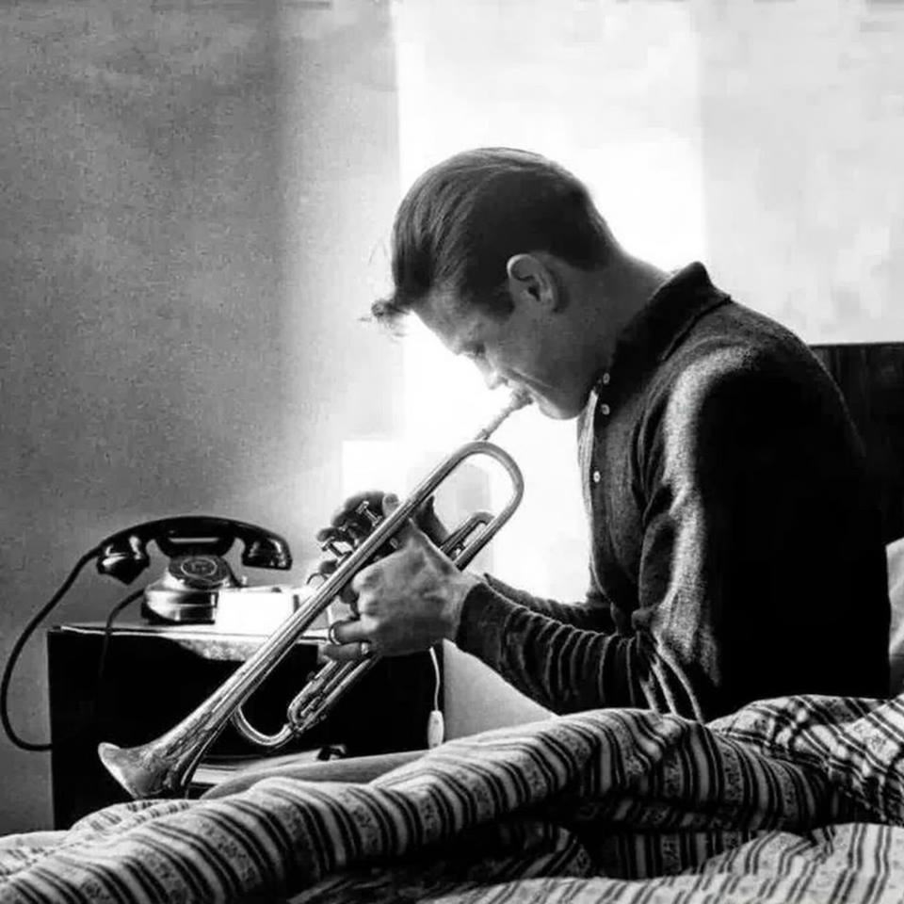 Abutres não ouvem jazz