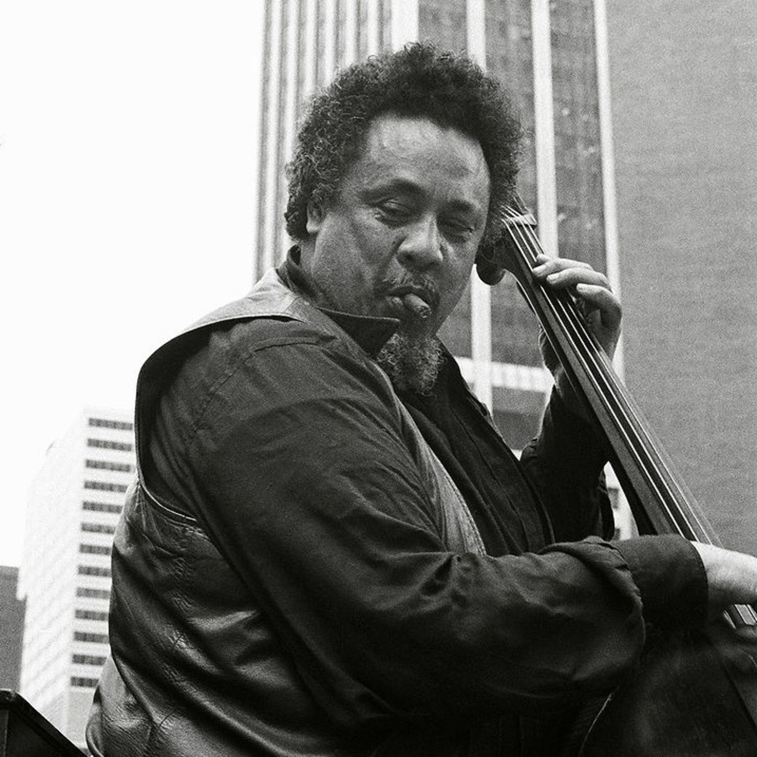 Abutres não ouvem jazz