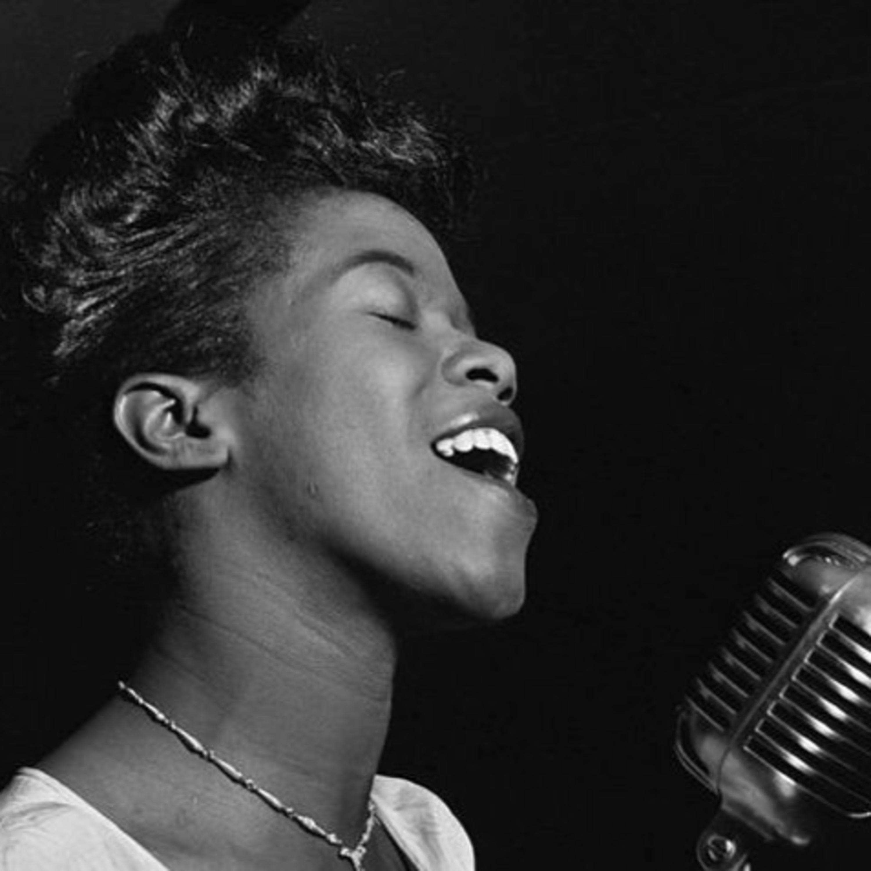 Abutres não ouvem jazz