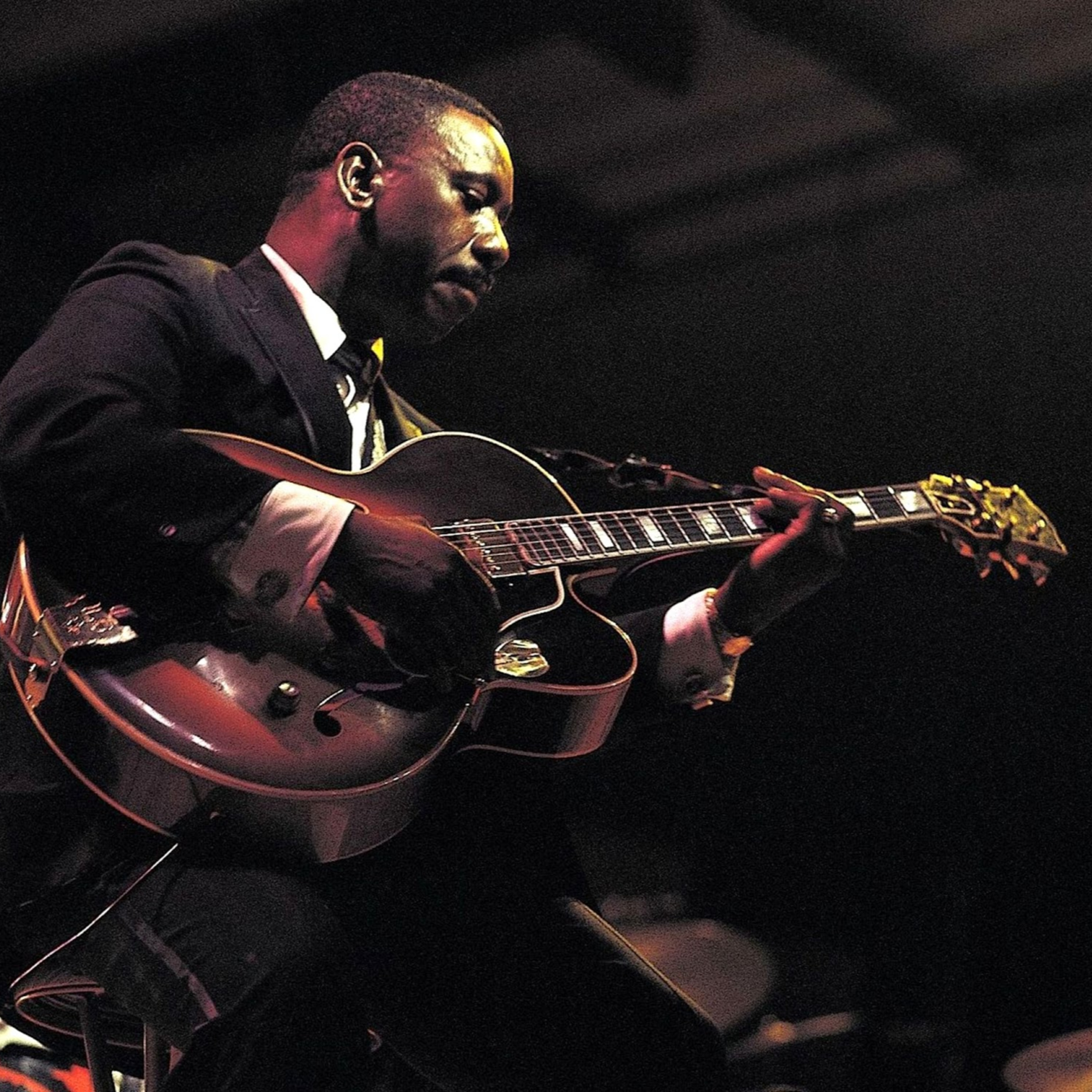 Abutres não ouvem jazz