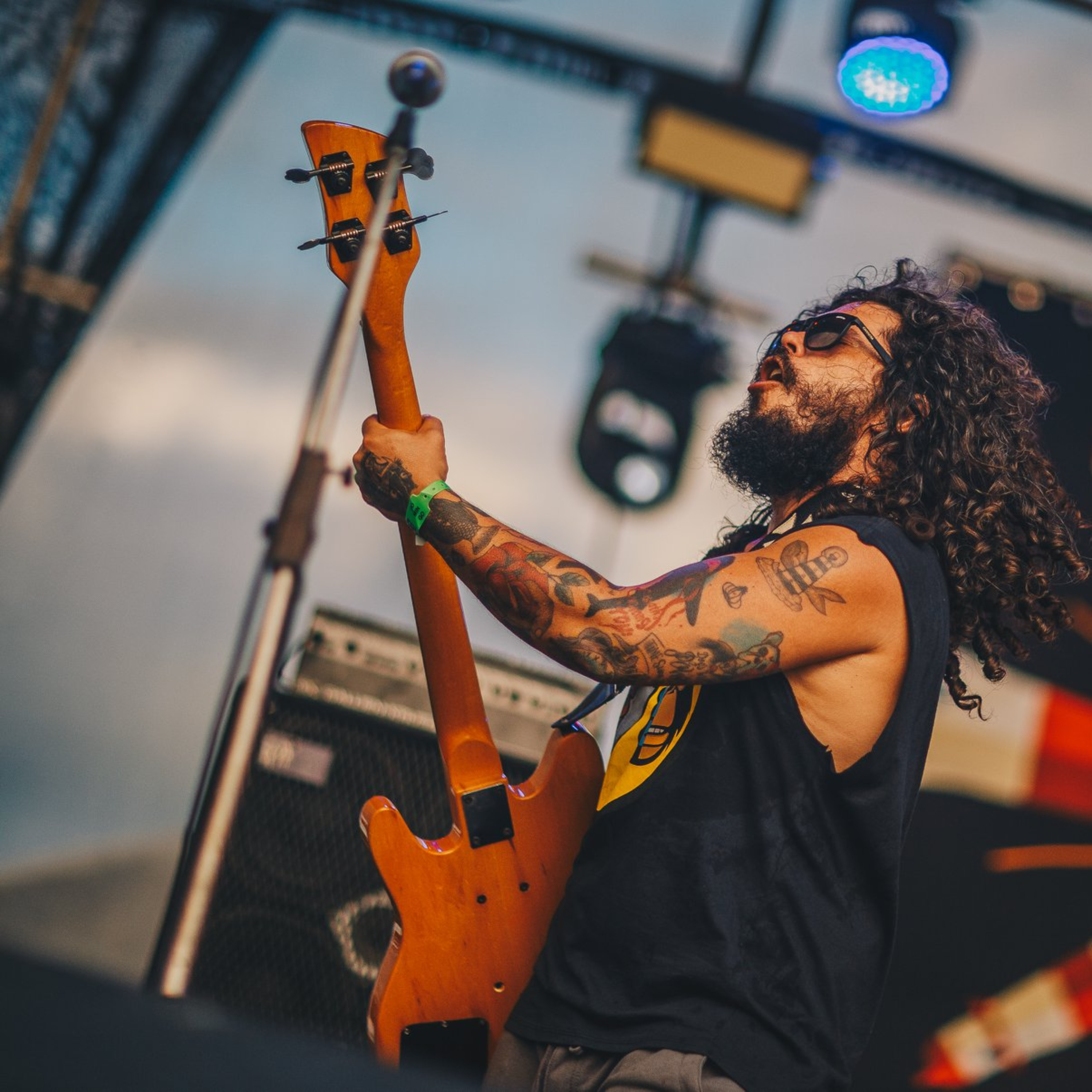 Abutres não ouvem jazz