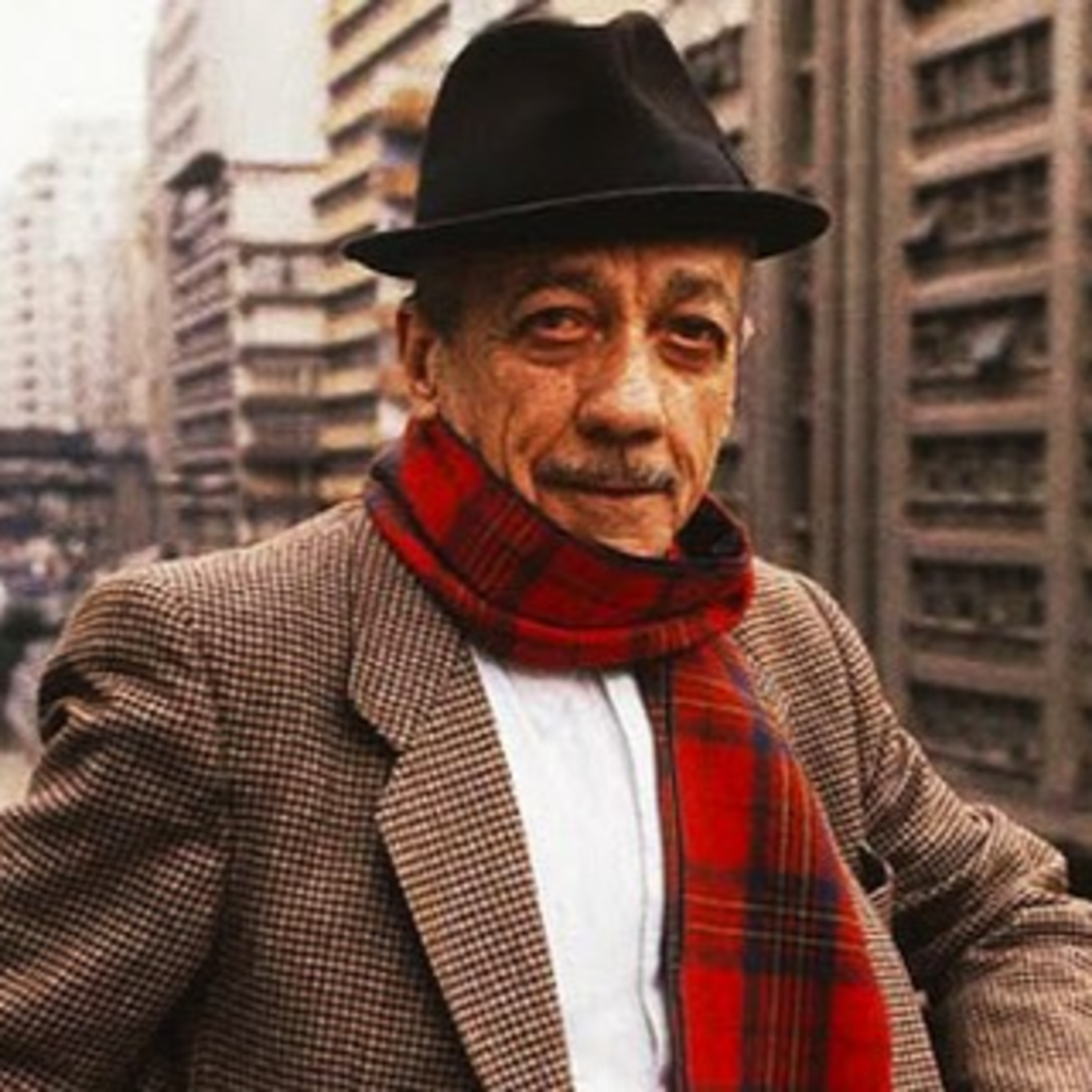 Abutres não ouvem jazz