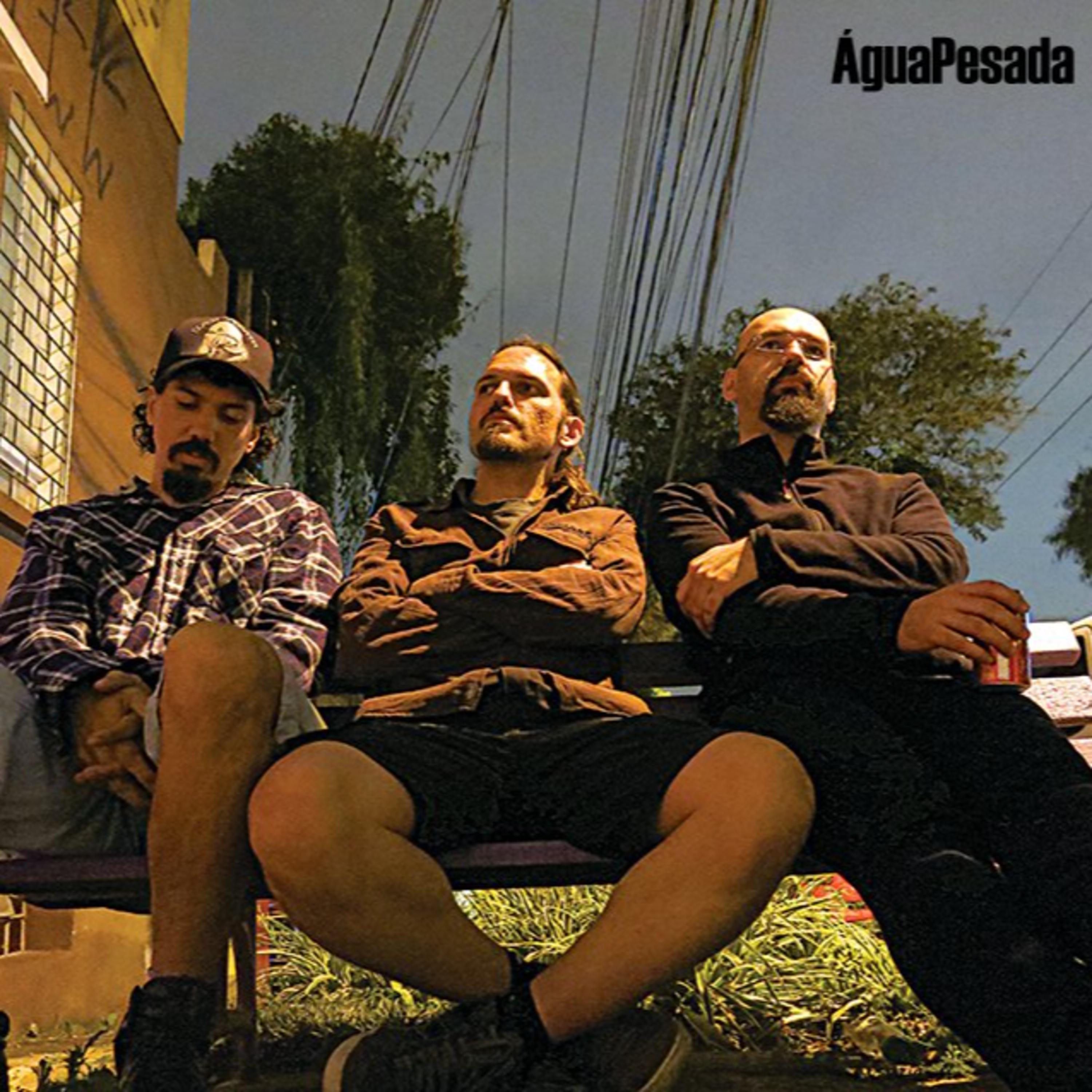 Abutres não ouvem jazz