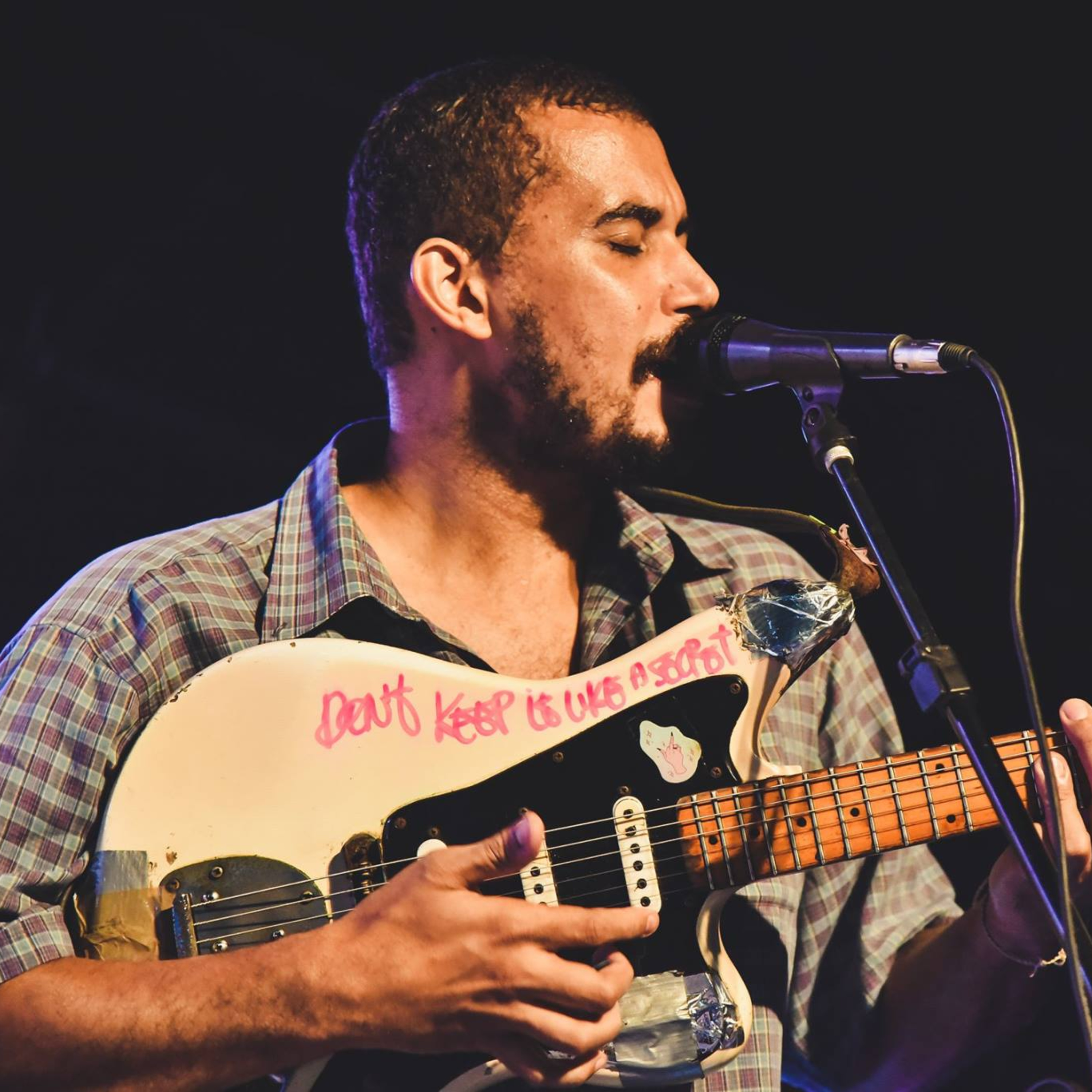 Abutres não ouvem jazz