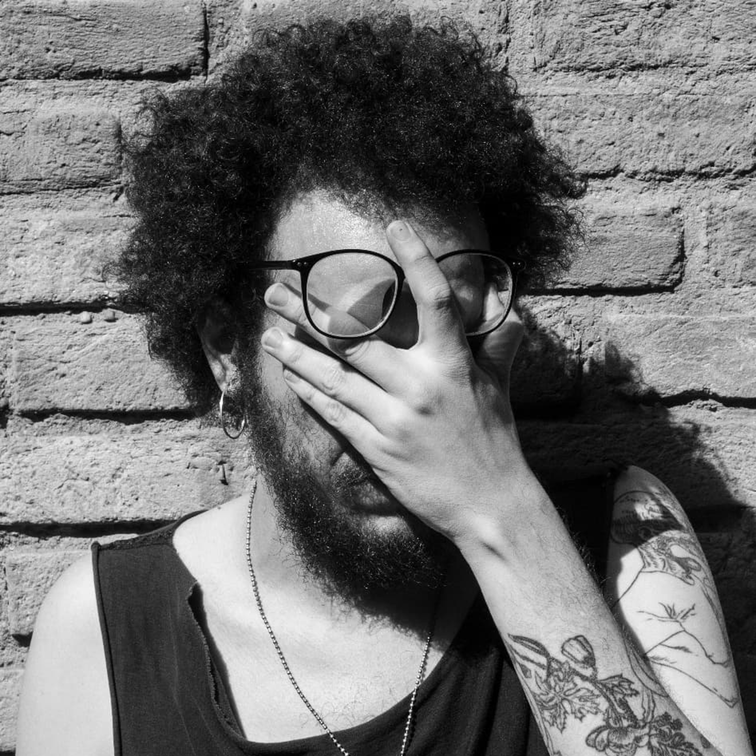 Abutres não ouvem jazz