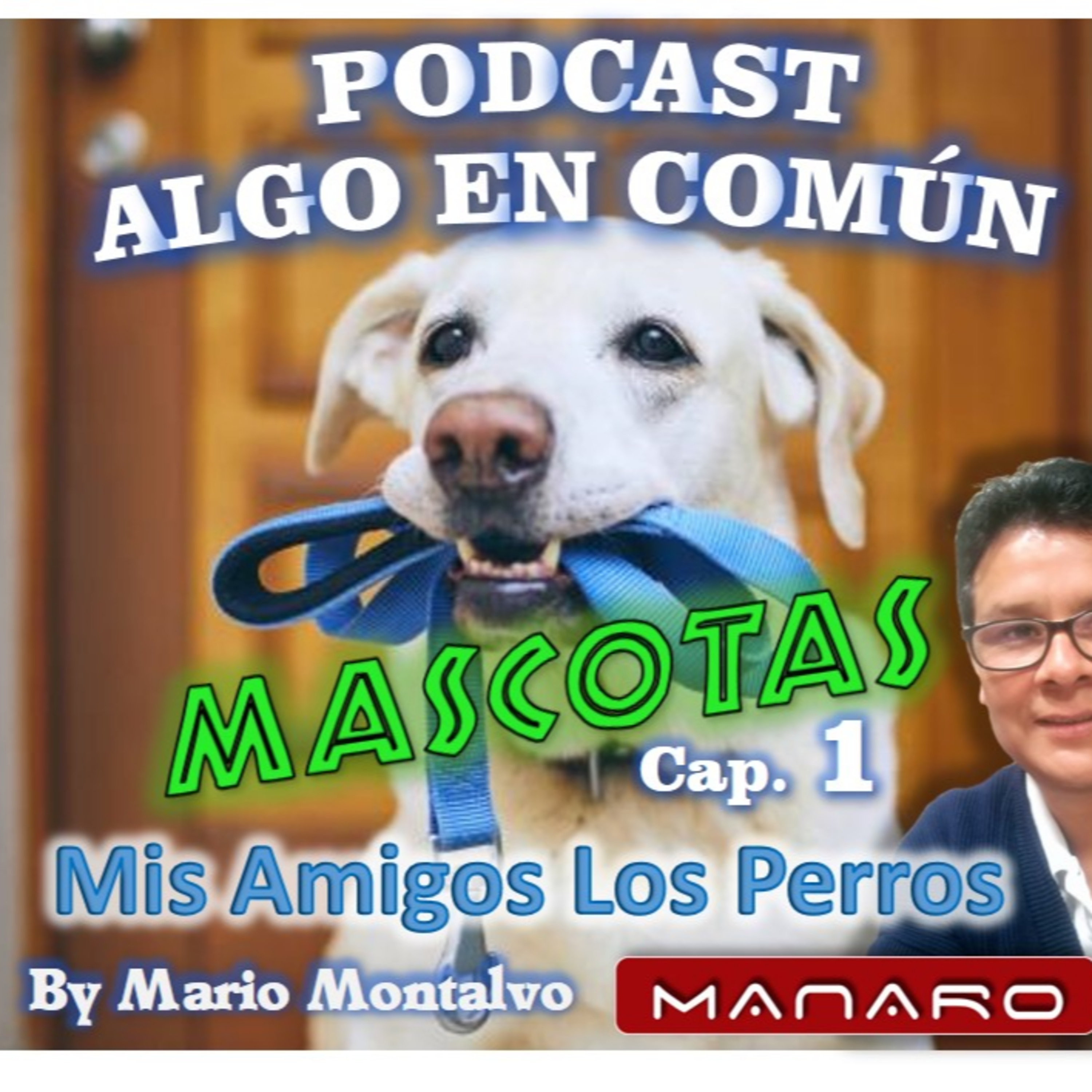 ALGO EN COMÚN