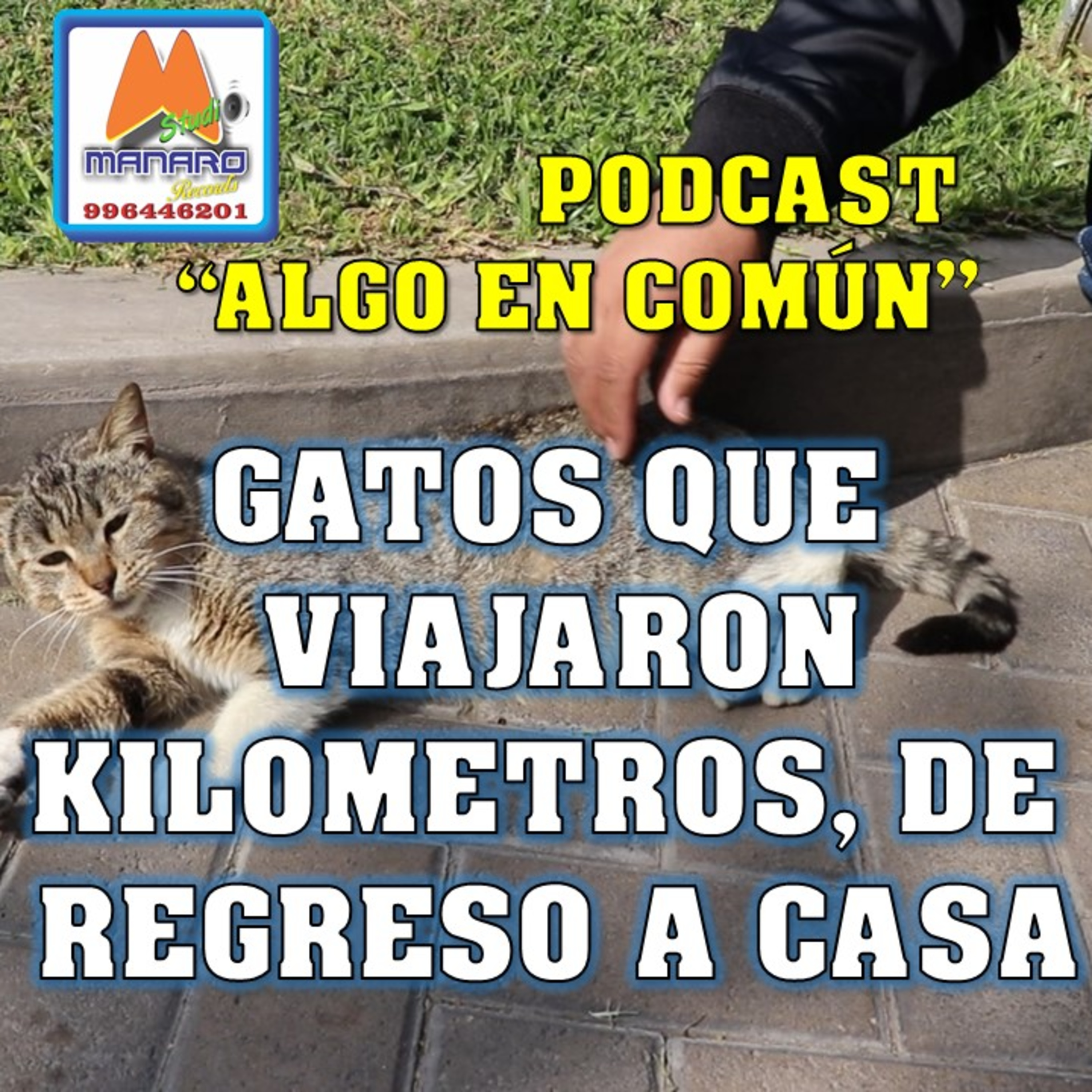 ALGO EN COMÚN