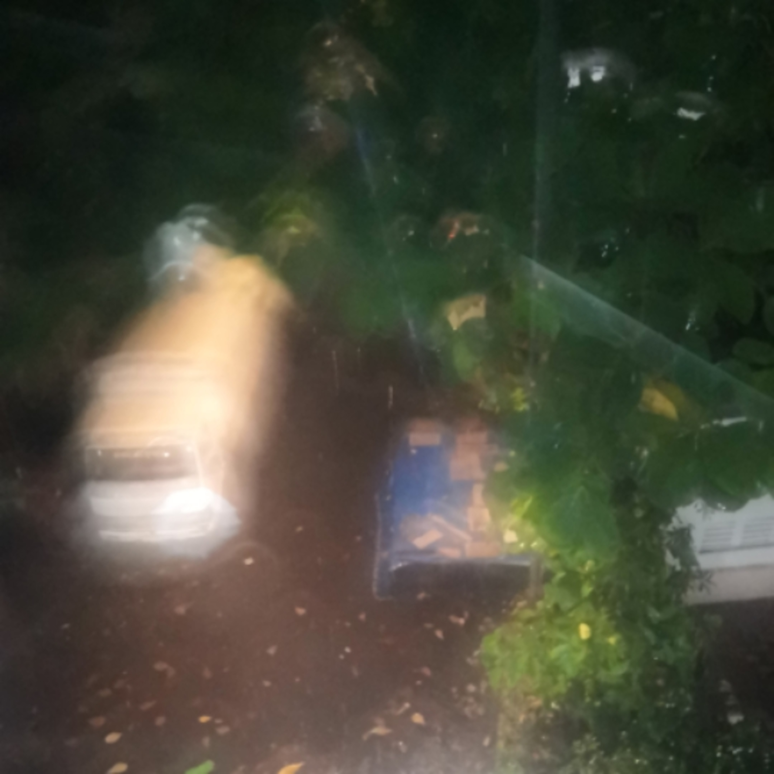 Episode 7 Rain 2019 10-22