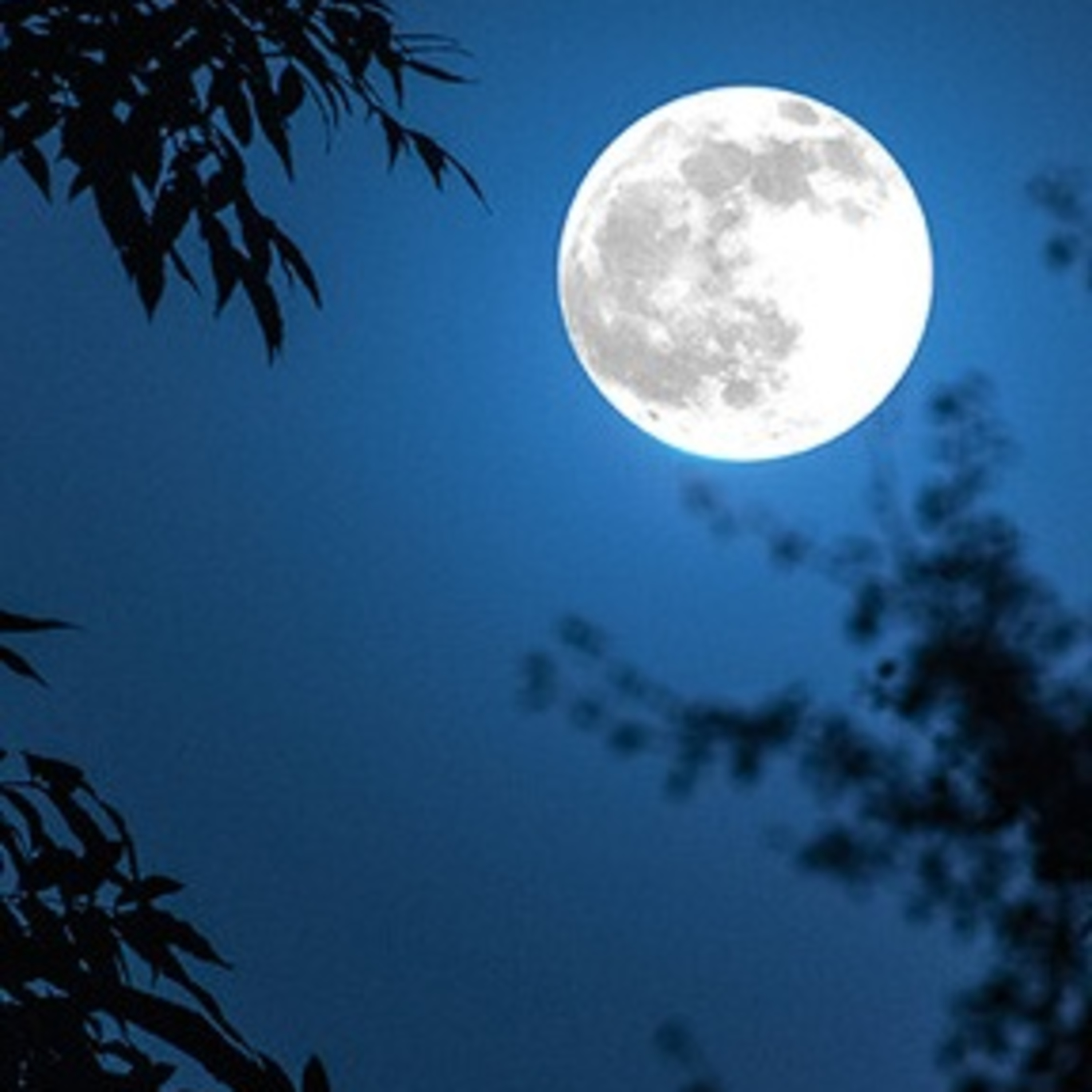 Full Moon in Sagittarius (also limited period discount offer)
