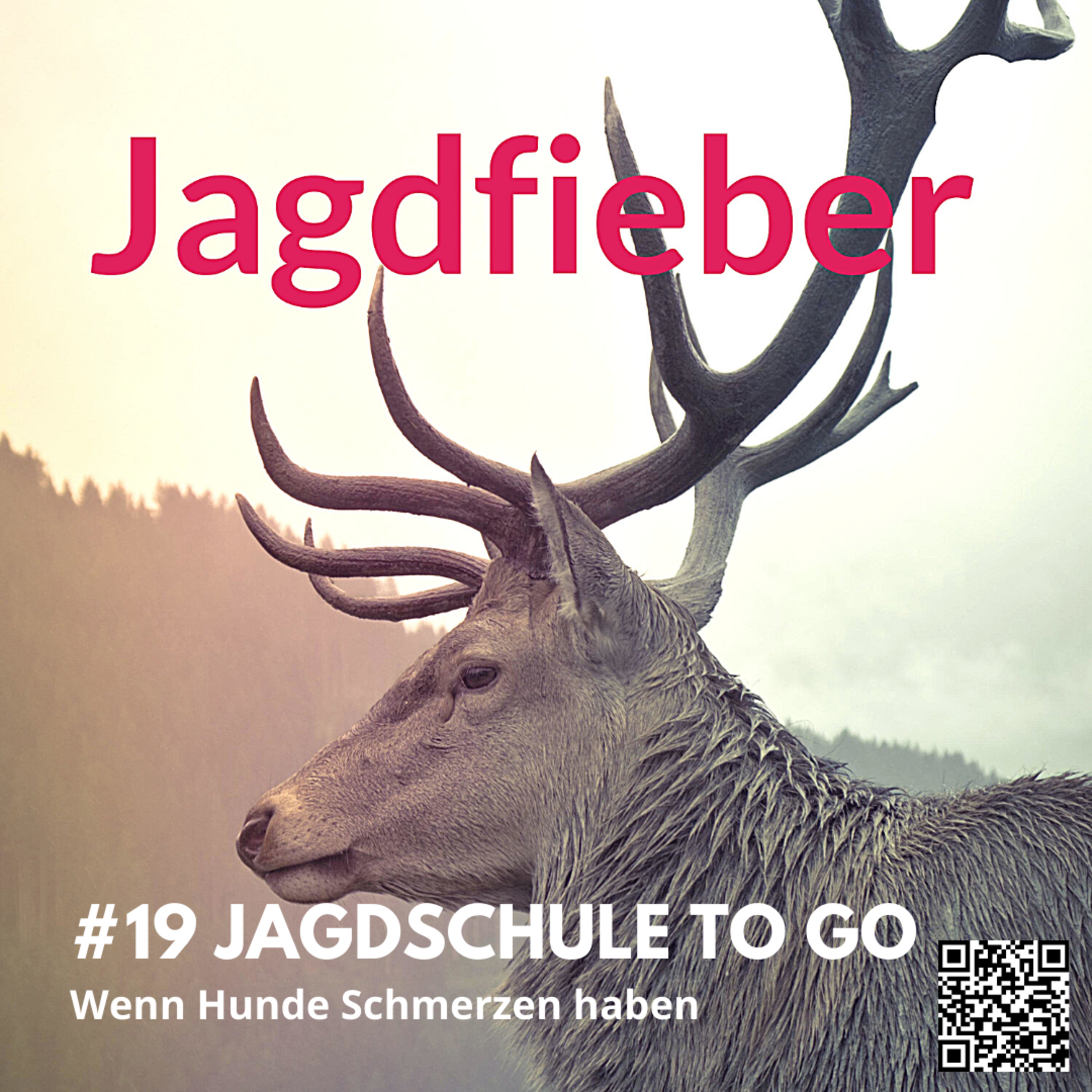 #19 Wenn unsere Hunde Schmerzen haben #jagdfieberpodcast #hundewesen #jagdhunde #sachsenjägerin #jagdschule #jagdpodcast #jagdschuletogo episode artwork