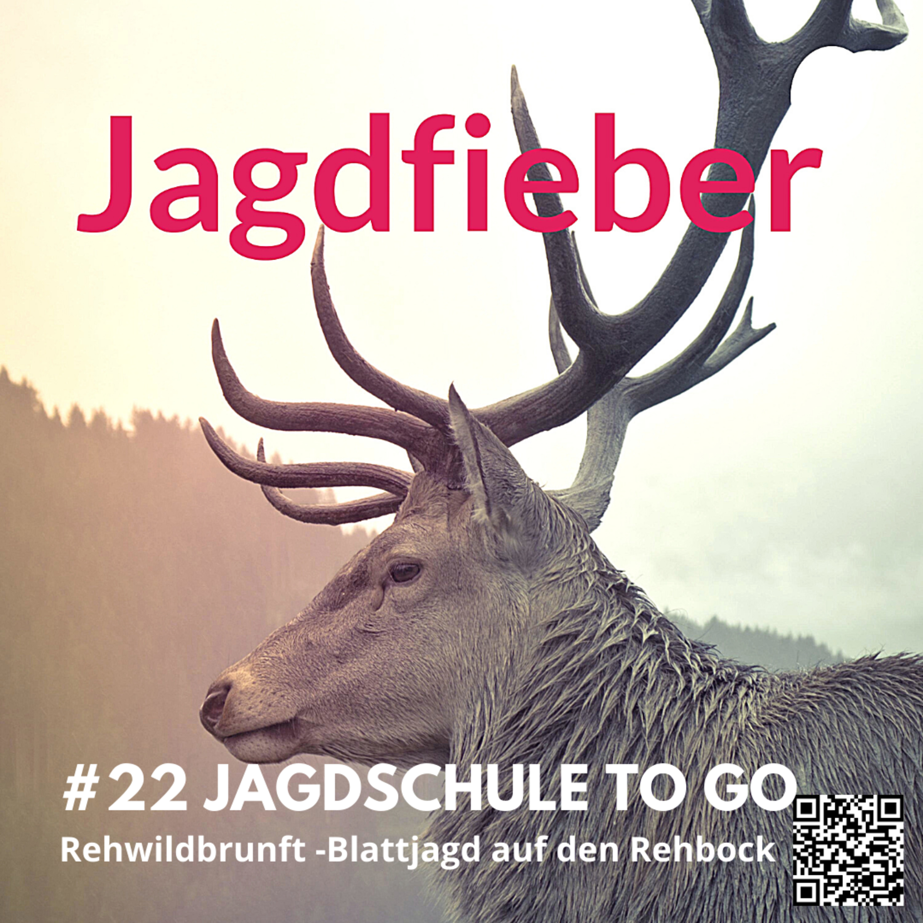 #22 Jagdschule to go "Blattjagd auf den Rehbock" #jagdfieberpodcast #jagdpodcast #jägerwerden #sachsenjägerin #jagdundhund #jagdschule #rehwildbrunft #blattjagd episode artwork