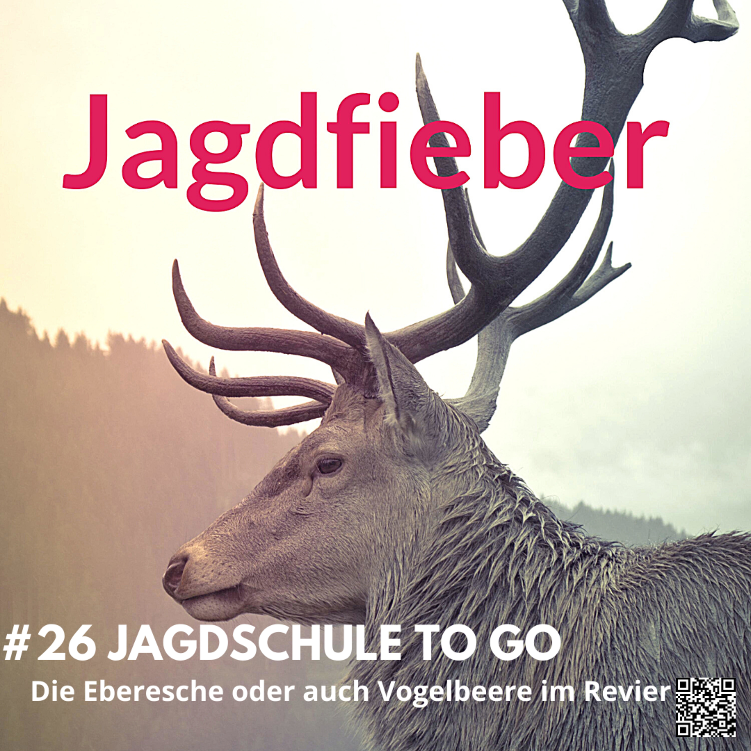 #26 Die Vogelbeere #hege #jagdfieberpodcast #jagdpodcast #jagdfieber #schalenwild #jagdundnatur #waldbau #sachsenjäger #hegeundjagd #jagdschule episode artwork