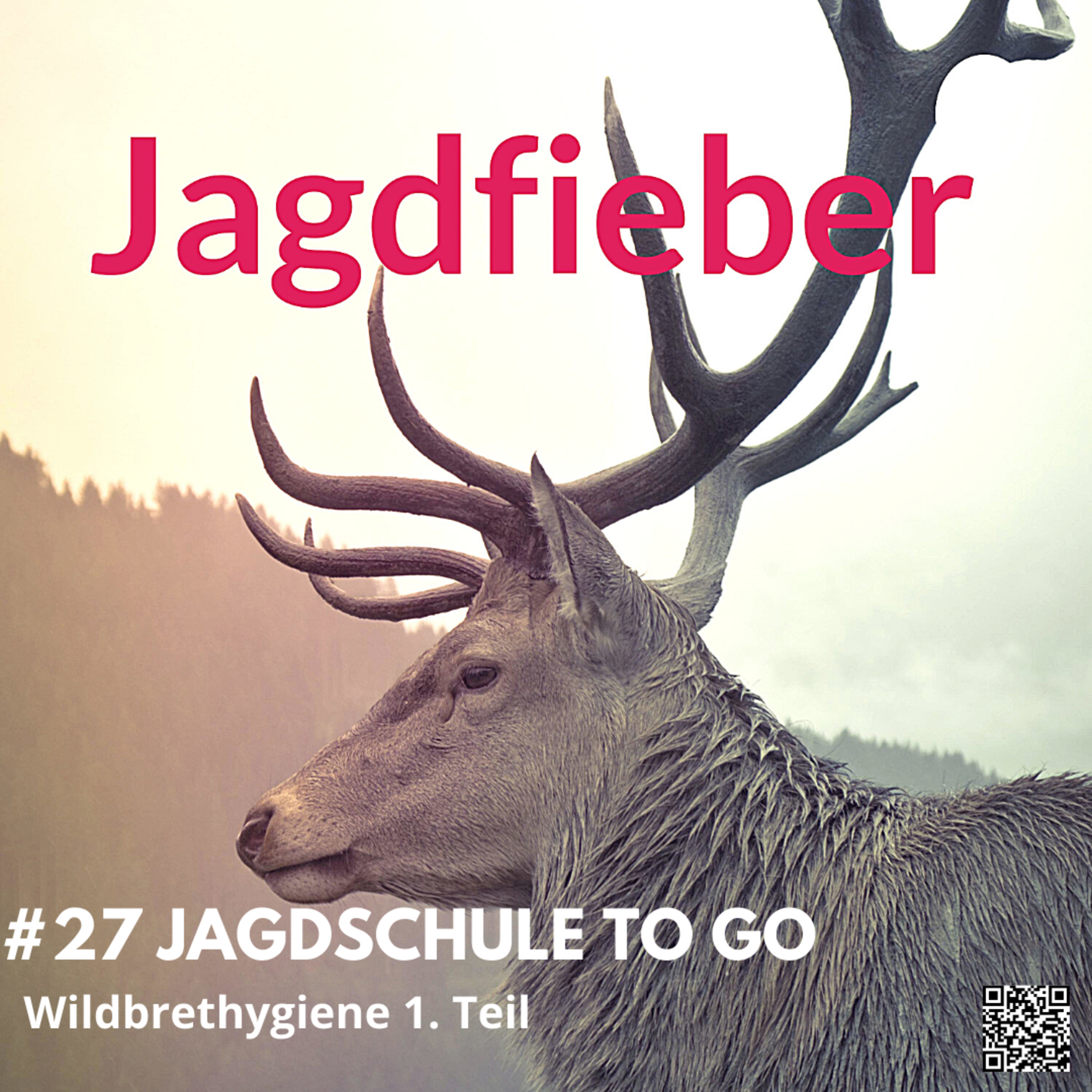 #27 Wildbrethygiene #hege #jagdfieberpodcast #jagdpodcast #jagdfieber #schalenwild #jagdundnatur #wildbrethygiene #sachsenjäger #hegeundjagd #jagdschule #Lebensmittelrecht #kundigeperson #euverordnung episode artwork