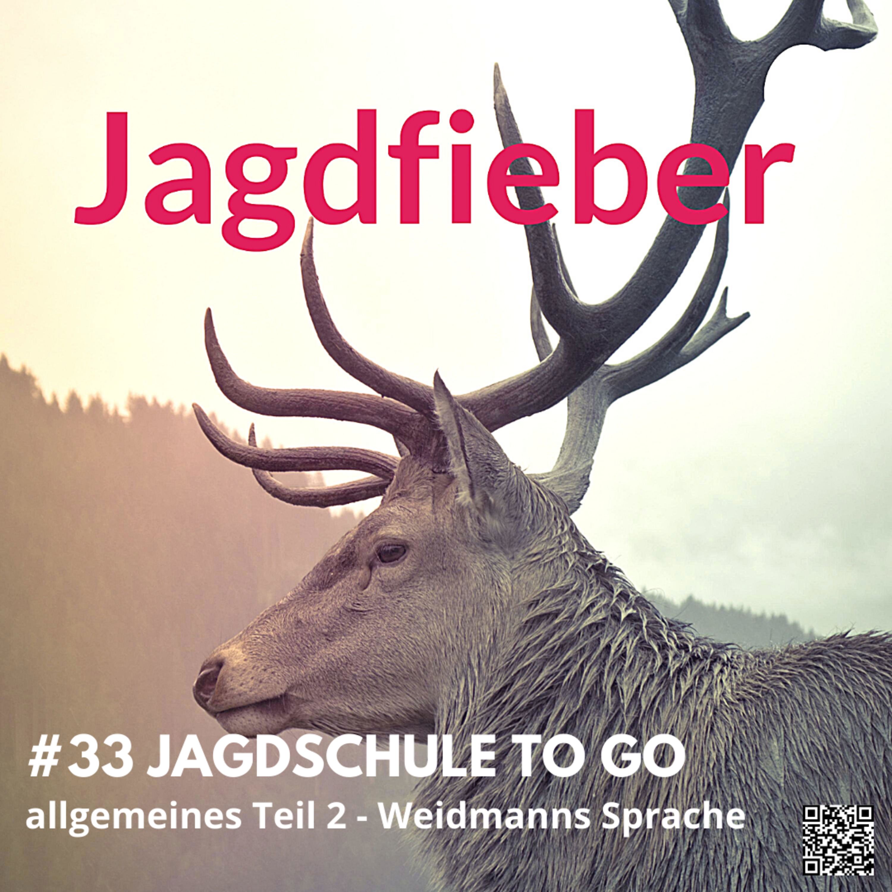 #33 allgemeines Teil 2 - Weidmannssprache #Jagdfieber #jagdpodcast #jagdundhund #jagdschule #sachsenjägerin #jagdfieberpodcast #wildtierkunde #allgemeines # jagdschuletogo #weidmannssprache episode artwork