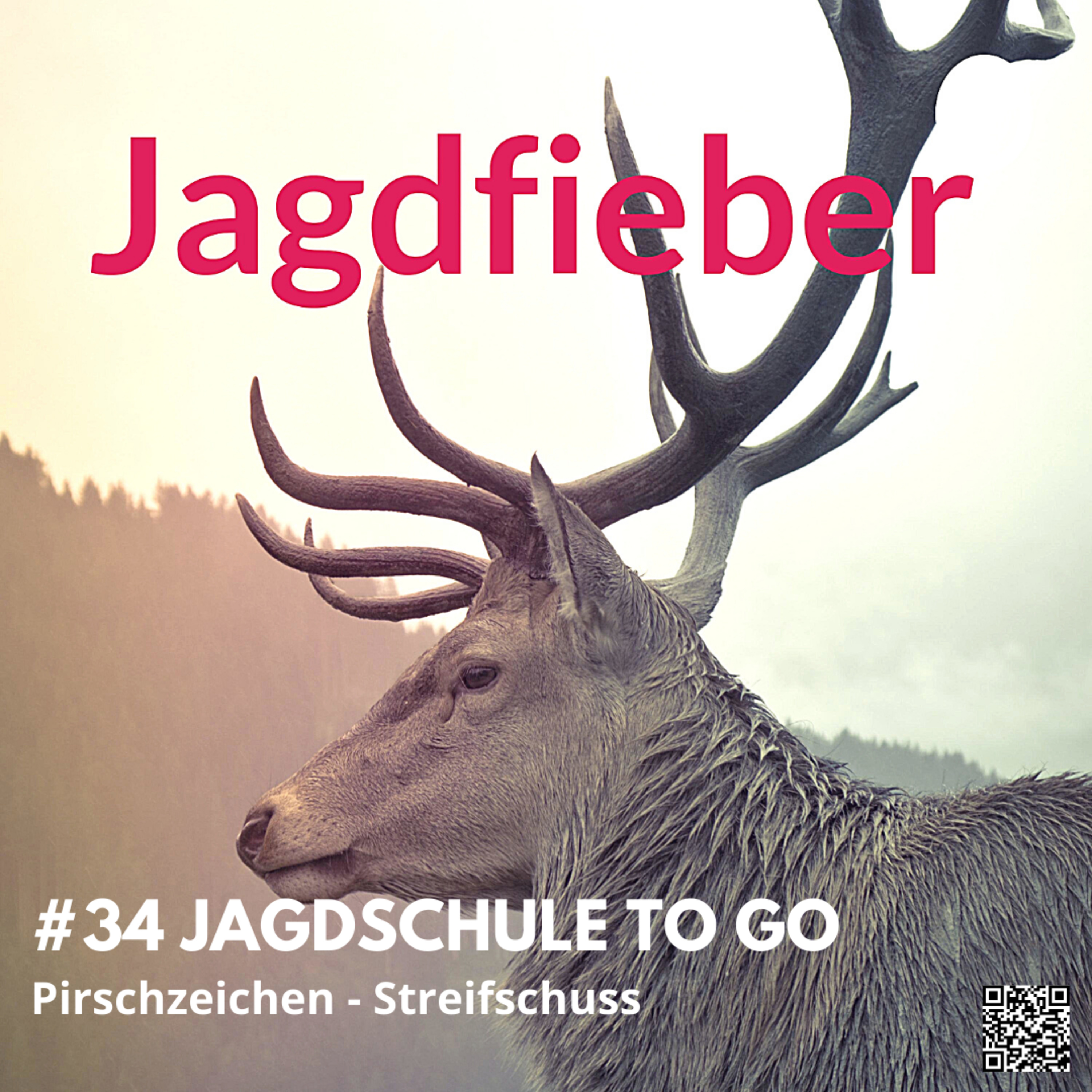#34 Pirschzeichen #streifschuss #pirschzeichen #Jagdfieber #jagdpodcast #jagdundhund #jagdschule #sachsenjägerin #jagdfieberpodcast #wildtierkunde #allgemeines # jagdschuletogo #weidmannssprache episode artwork