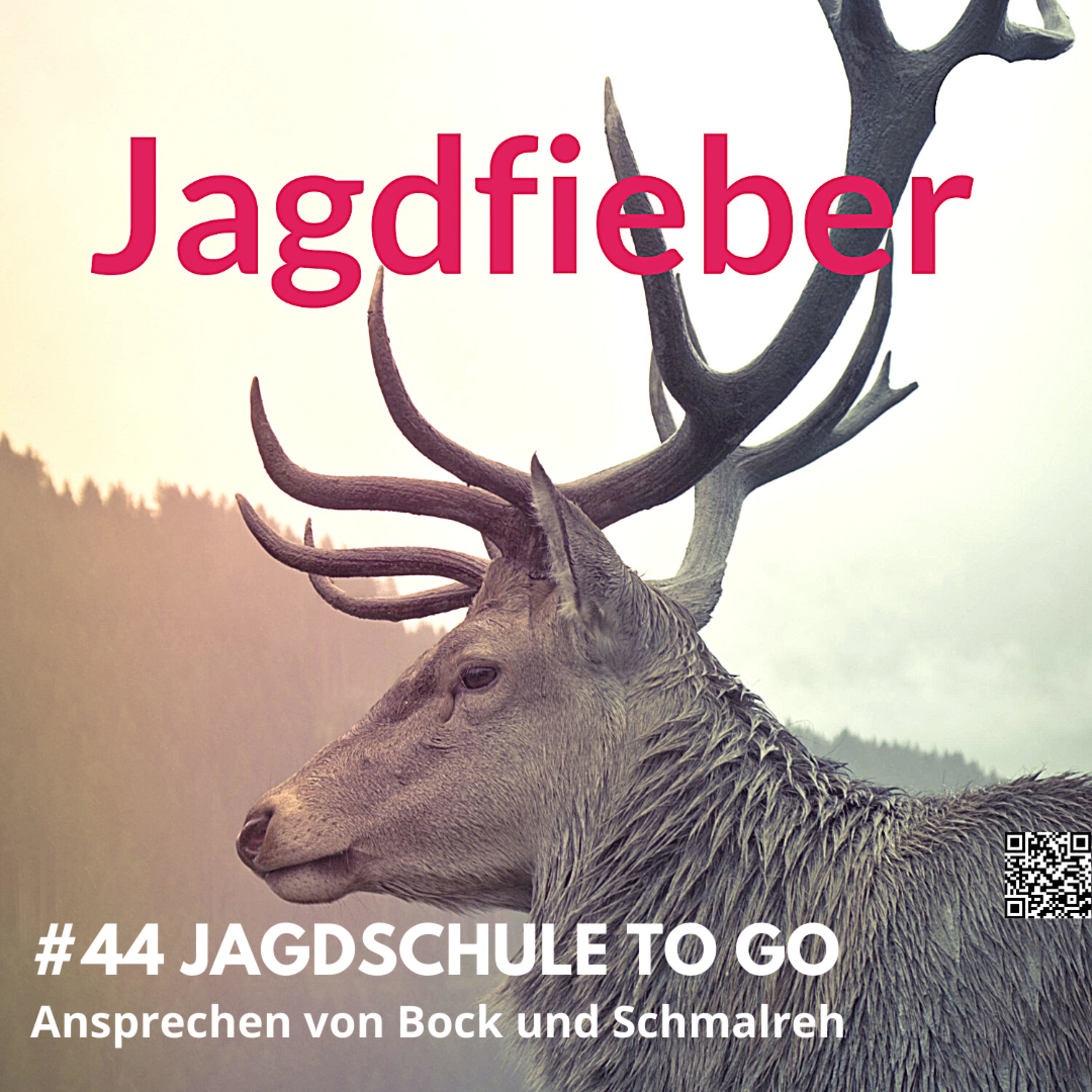 #44 Jagdschule to go Ansprechen von Bock und Schmalreh #Jagdfieber #jagdpodcast #jagdschule #sachsenjägerin #jagdfieberpodcast #bock # jagdschuletogo #Schmalreh #rehwildansprechen episode artwork
