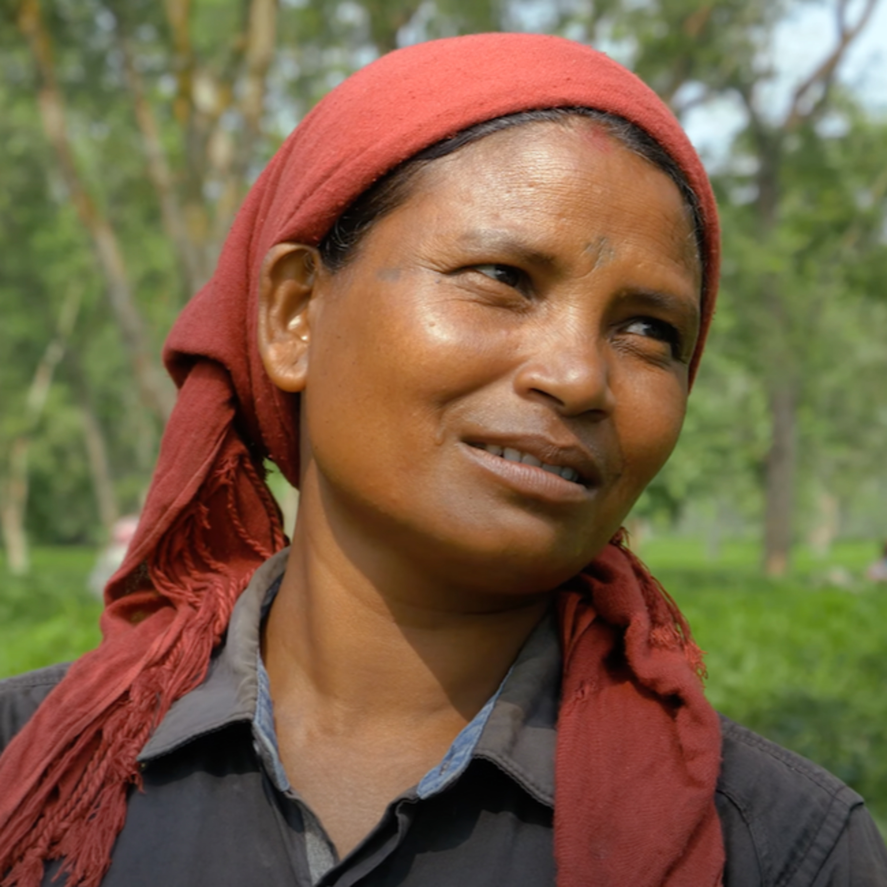 बगानको कथा | The Story of a Tea Plantation