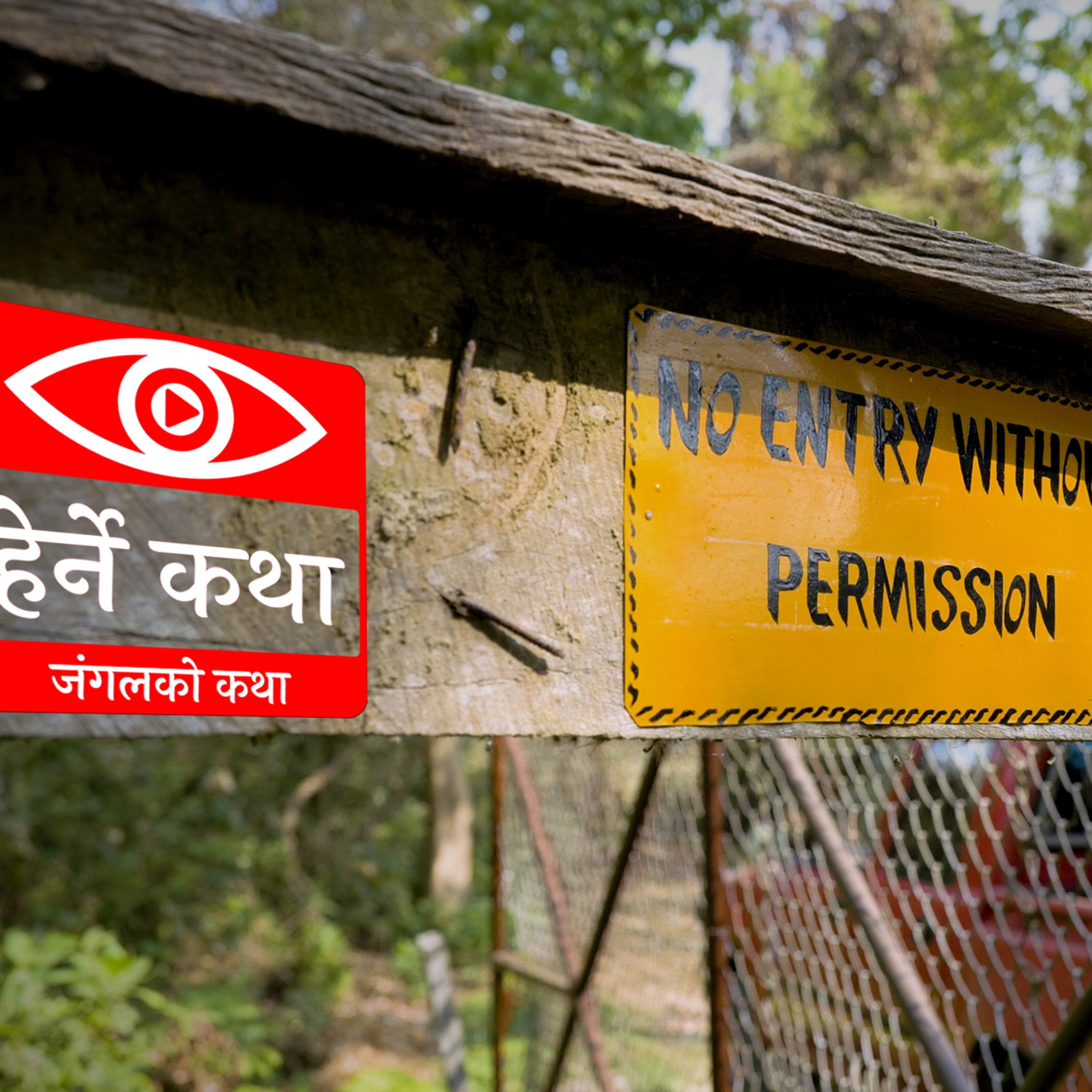 A Jungle's Story | जंगलको कथा | Jungle ko Katha