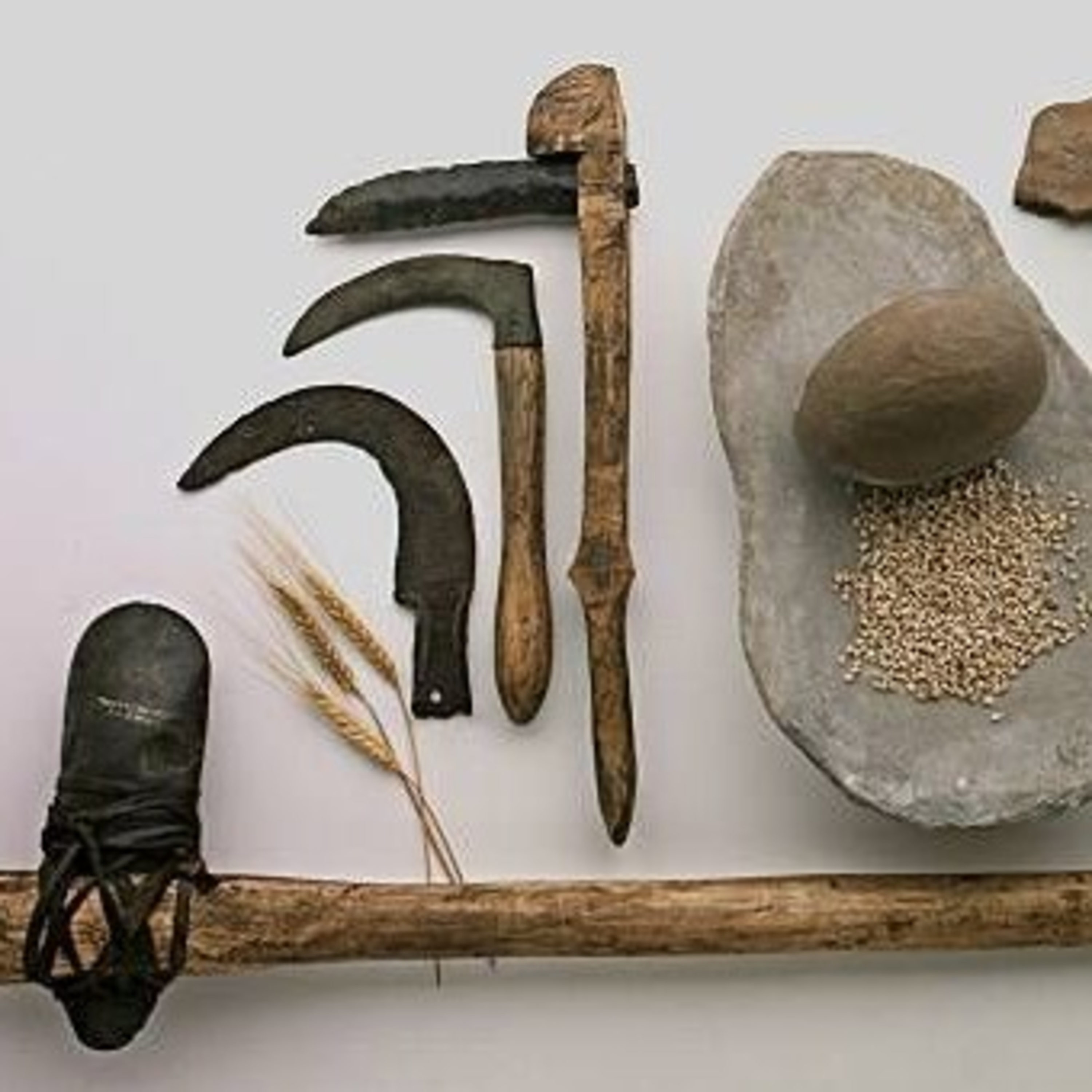 Neolithic age (नवपाषाण युग)