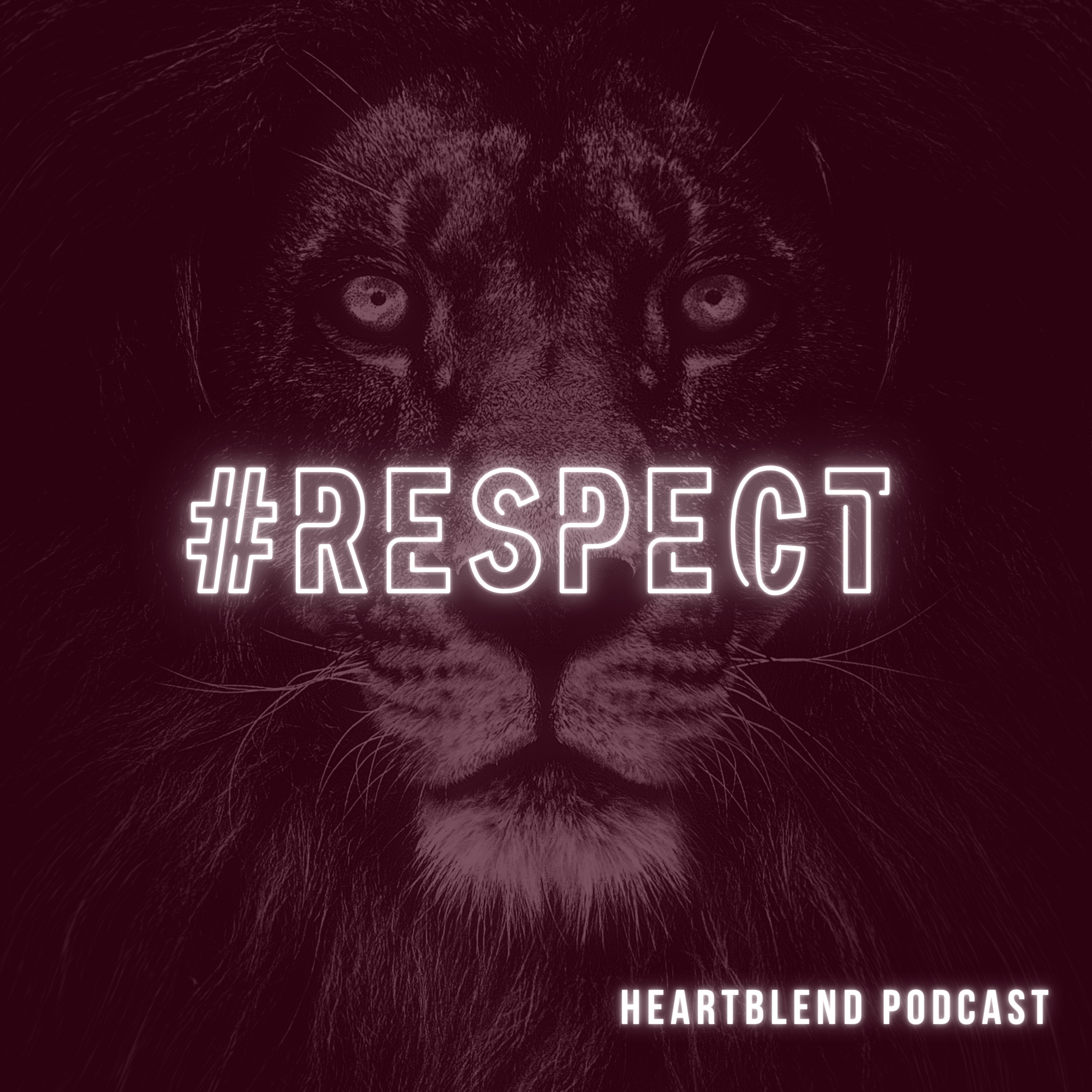 How to Be Respected While Dating: Set Boundaries and Honor Yourself episode artwork