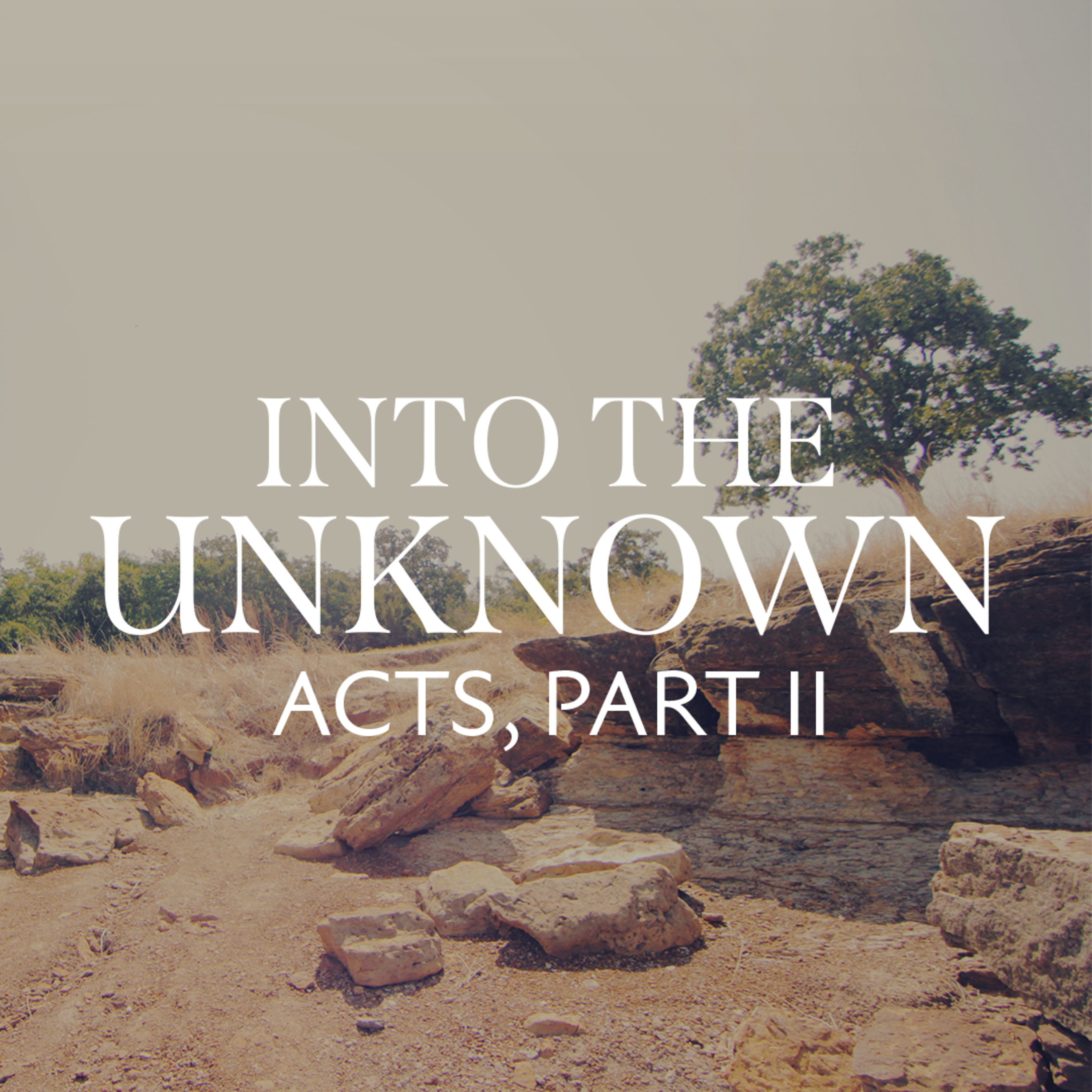 Into The Unknown: The Art of Imitation  episode artwork