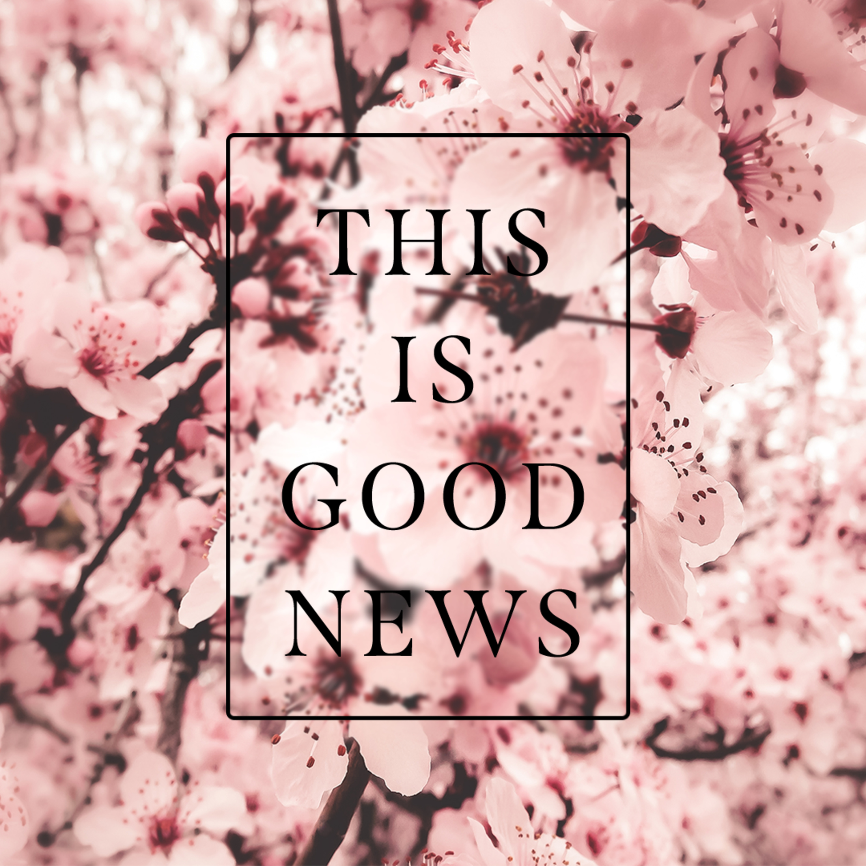 This is Good News: For The Globe episode artwork