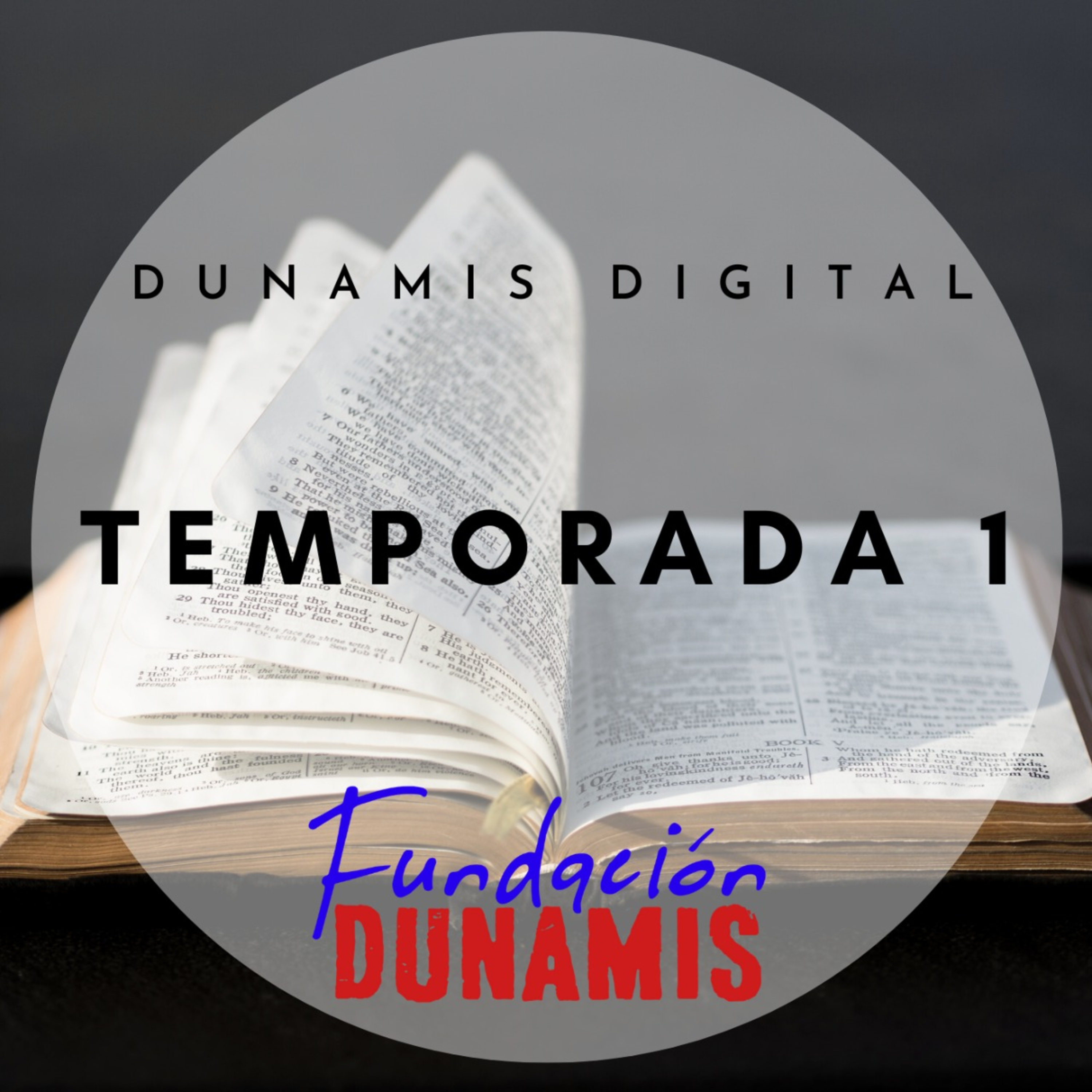 Fundación Dunamis