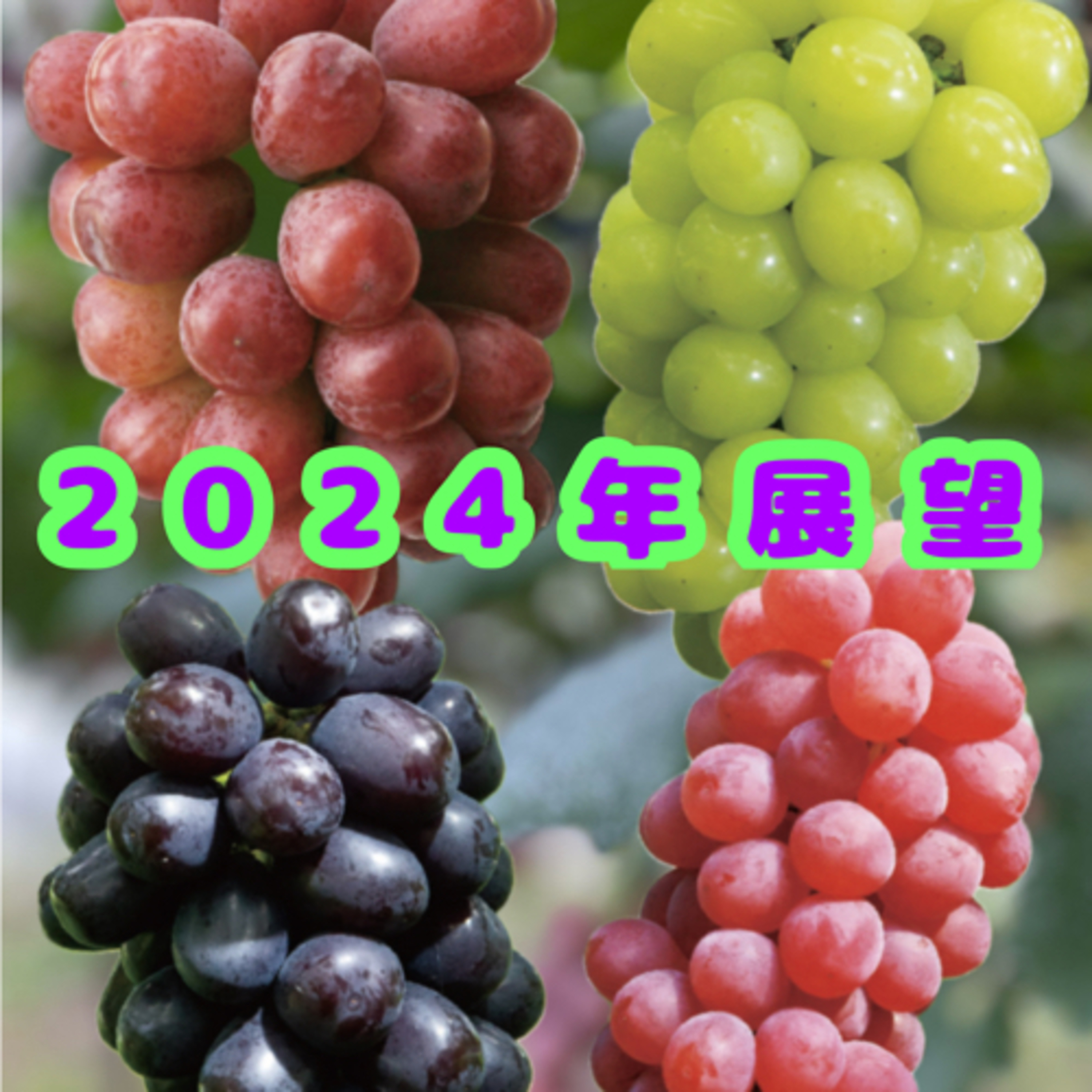 2024展望【閉園通知❸】 episode artwork
