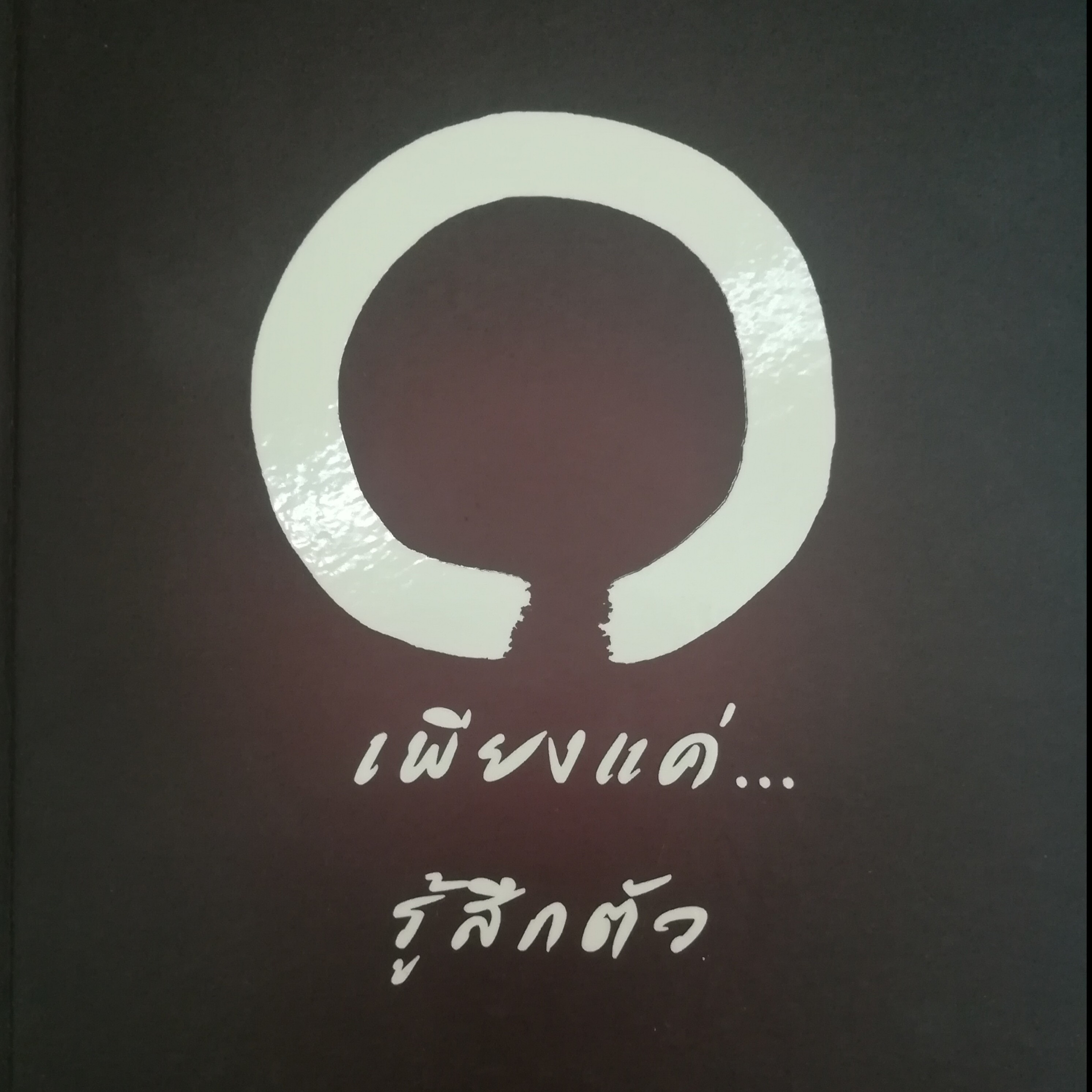 เพียงแค่รู้สึกตัว หน้า 13 episode artwork