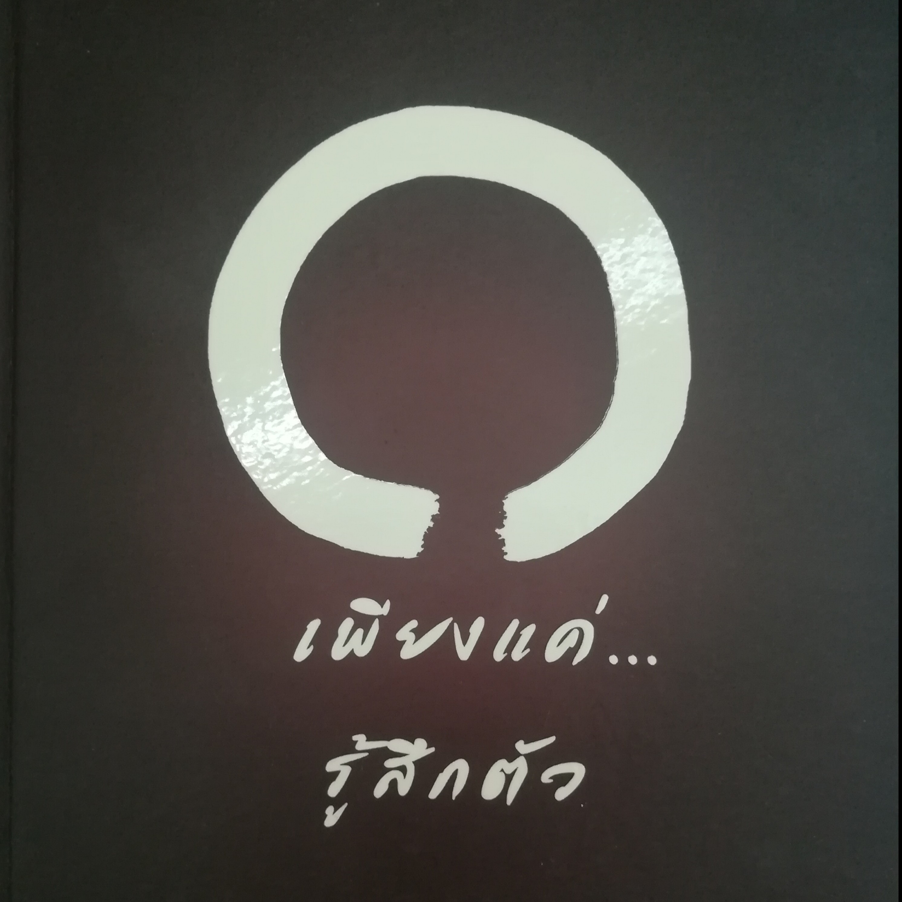 เพียงแค่...รู้สึกตัว หน้า 96 episode artwork