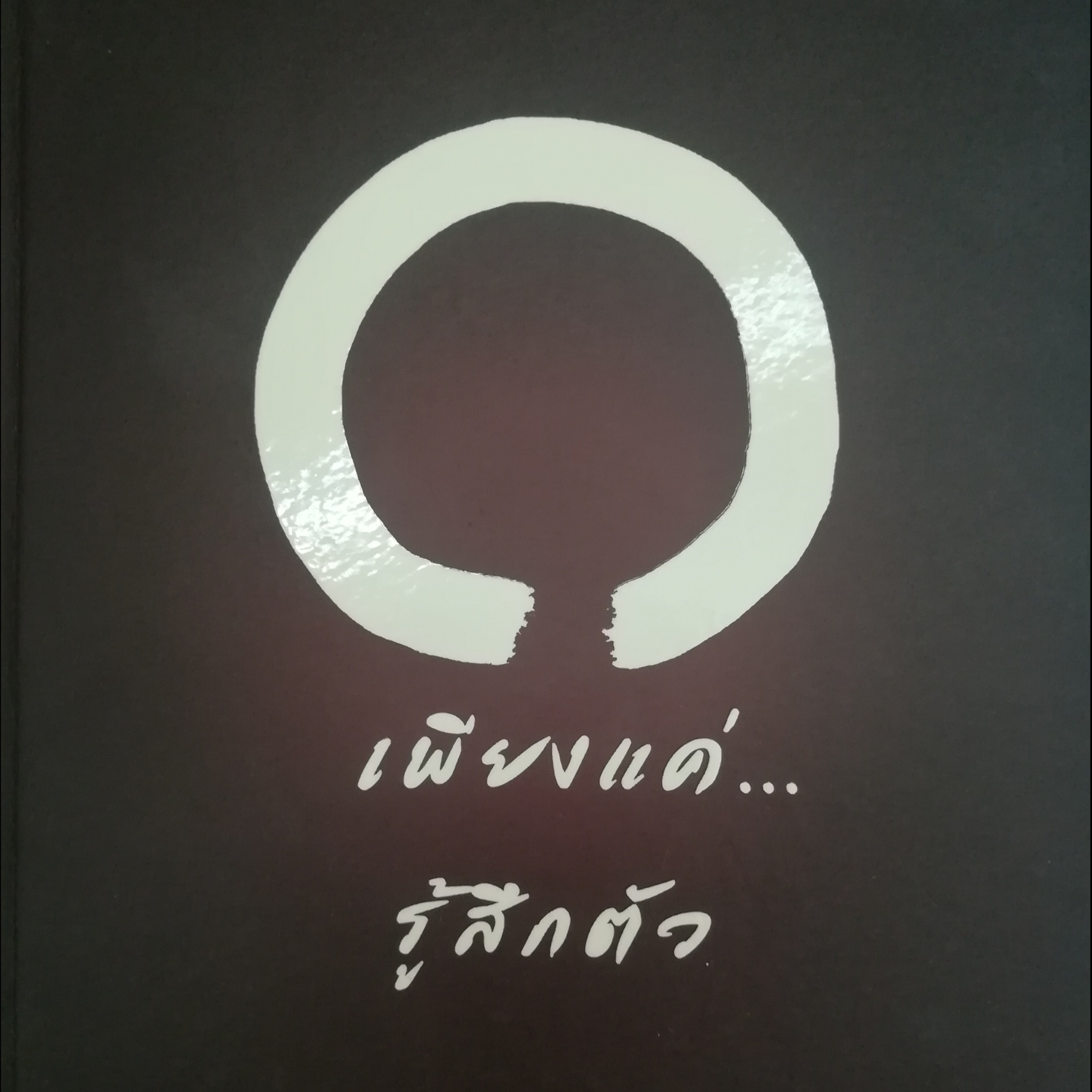เพียงแค่...รู้สึกตัว หน้า 103 episode artwork
